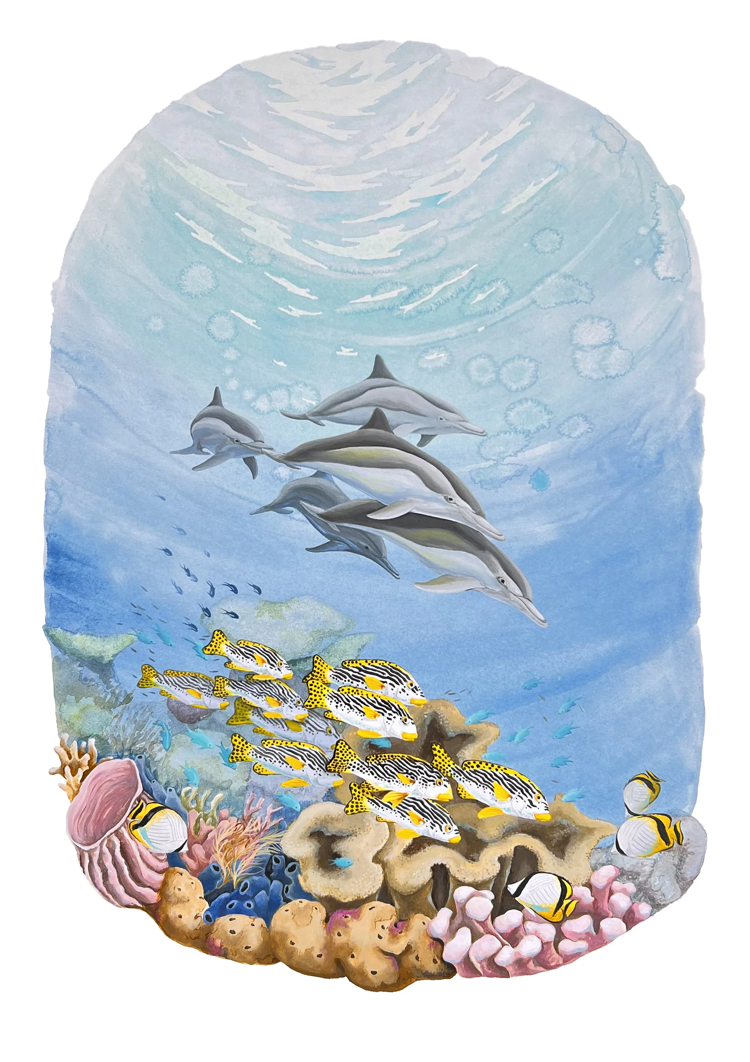Dolphin Play.jpg