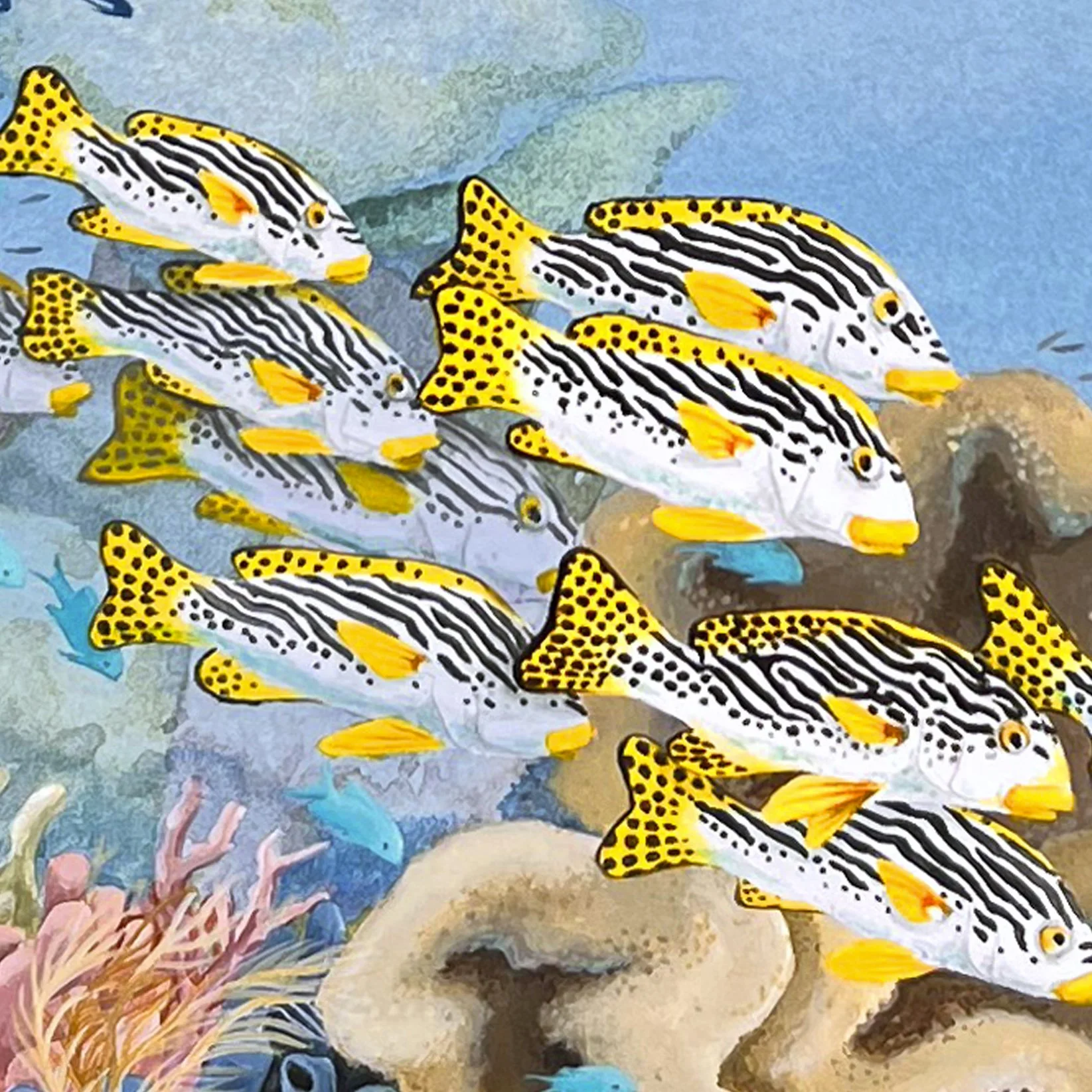 Dolphin Play sweetlip detail.jpg