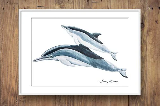 Ocean Spinner Dolphins timber wall.jpg
