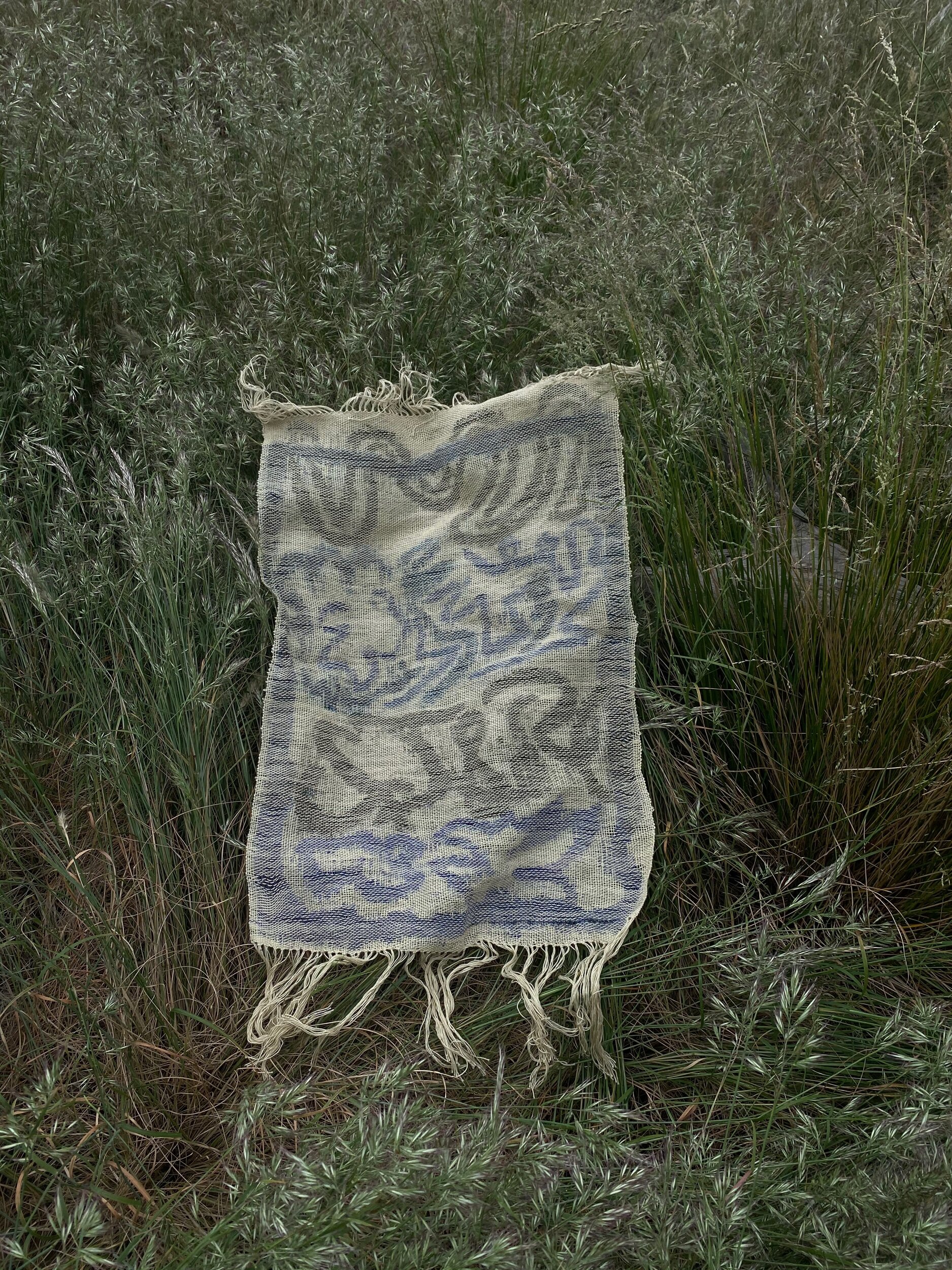 66CDDB0C-B4A6-4E25-BE34-EE4EC552C9A5