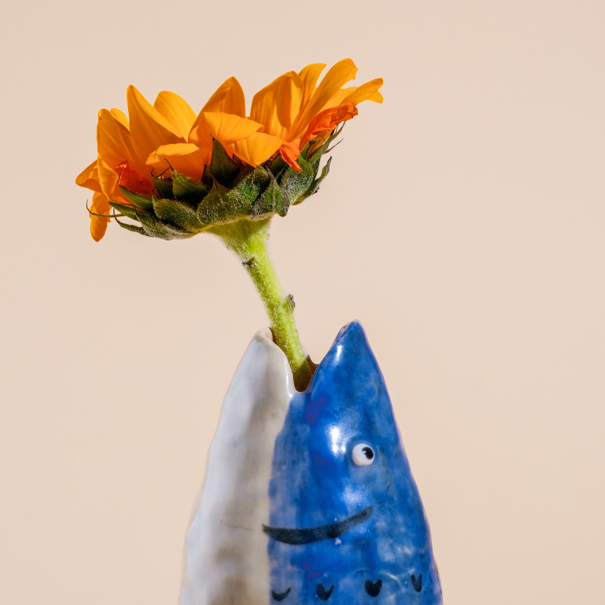 Mackerel-Lazlo-01.jpg