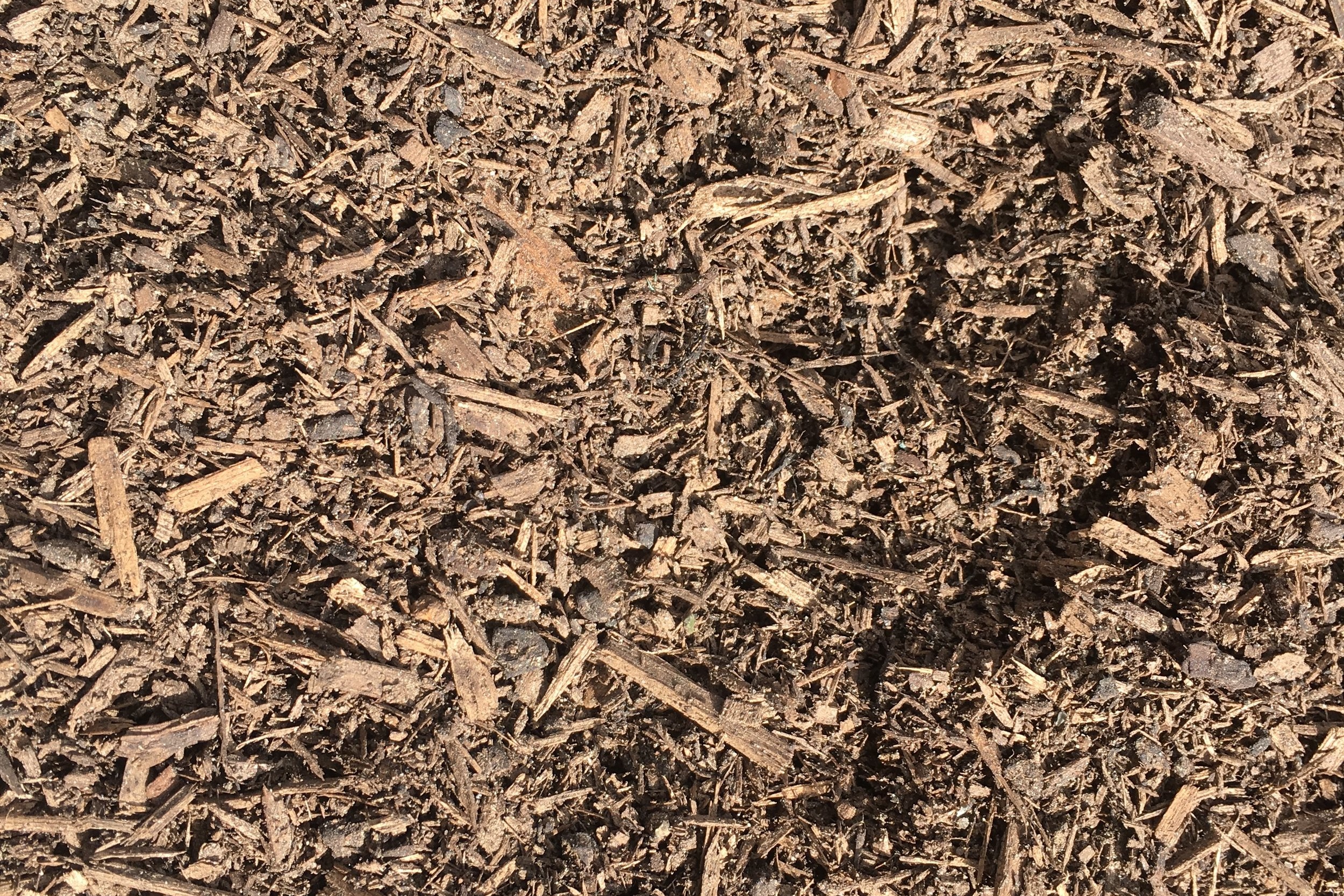 Organic+Compost.jpg