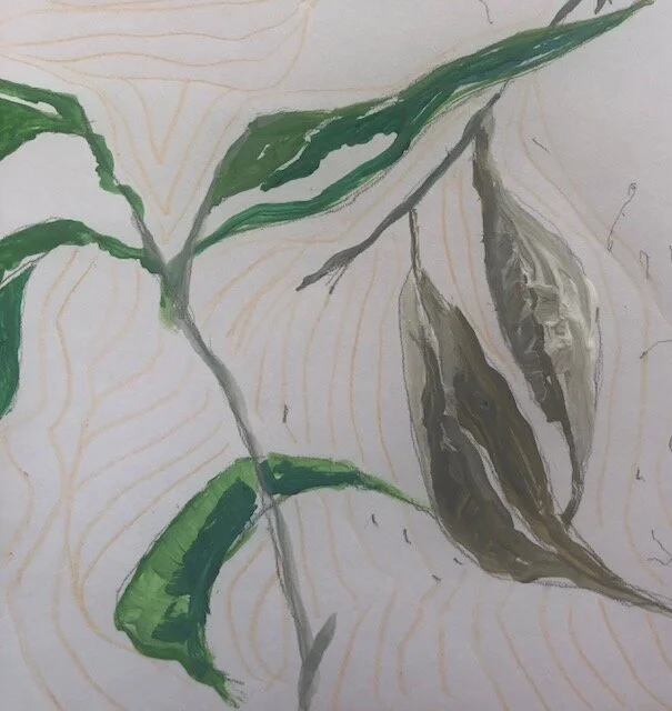 6. Copy detail in background from leaves.jpg