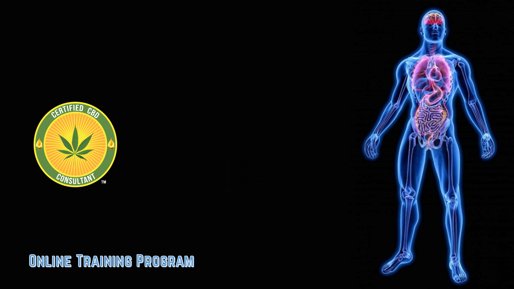 cbd-certification-training-program-ccbdc
