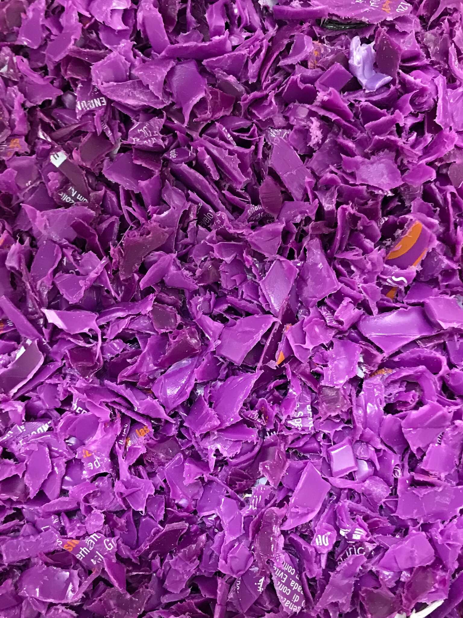 Purple Haze plastic shreds