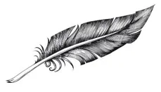 Feathered Edge