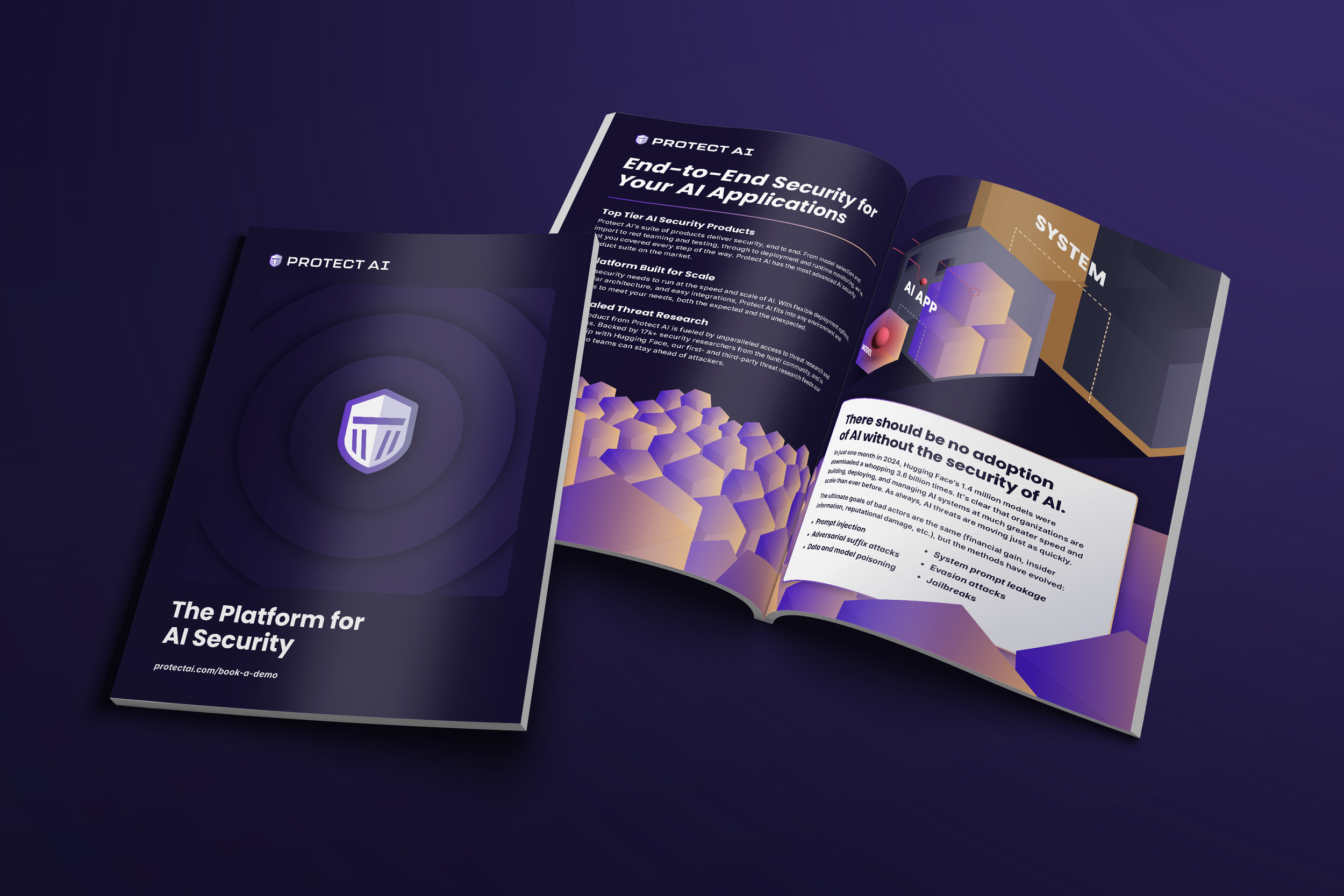 PAI-RSA booklet.png