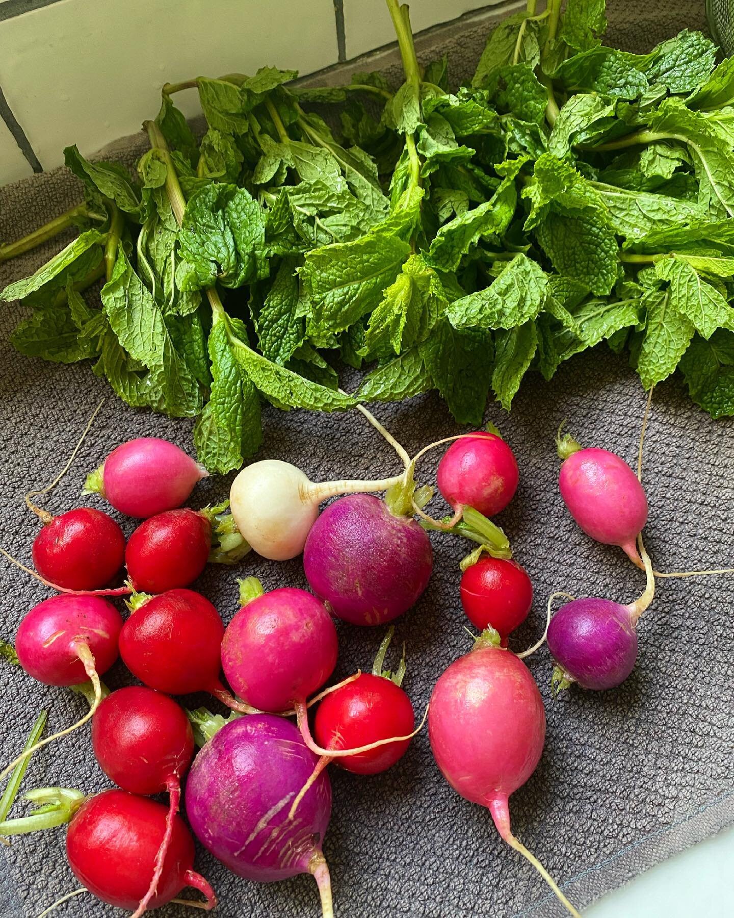 Shop seasonal! Radishes and mint make any salad more colorful and nutrition-packed. Bonus: both are anti-inflammatory and serve up tons of flavor. 
#healthy #healthyeating #healthyfood #nutritionist #organic #plantbasednutrition