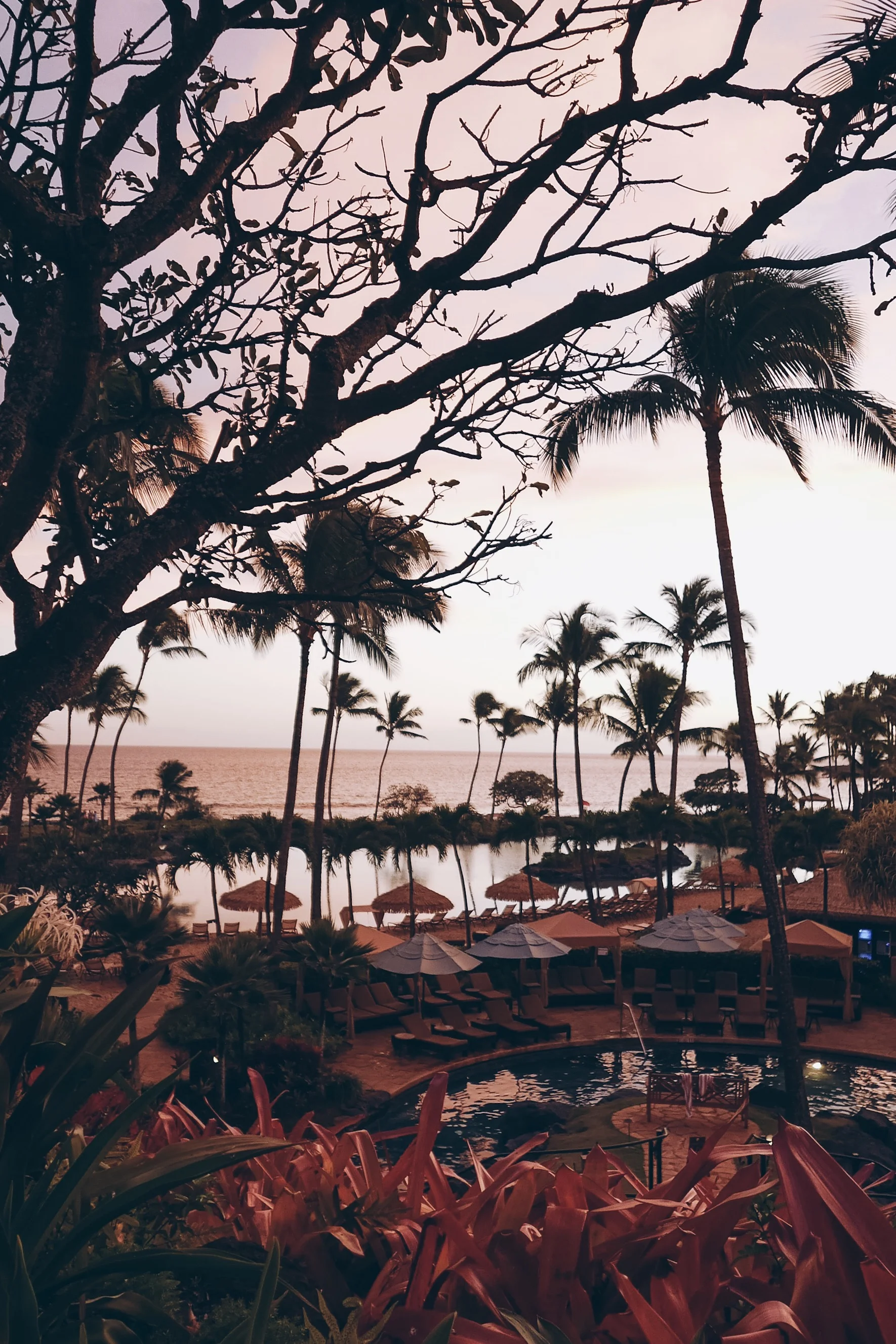 Kauai Travel Guide