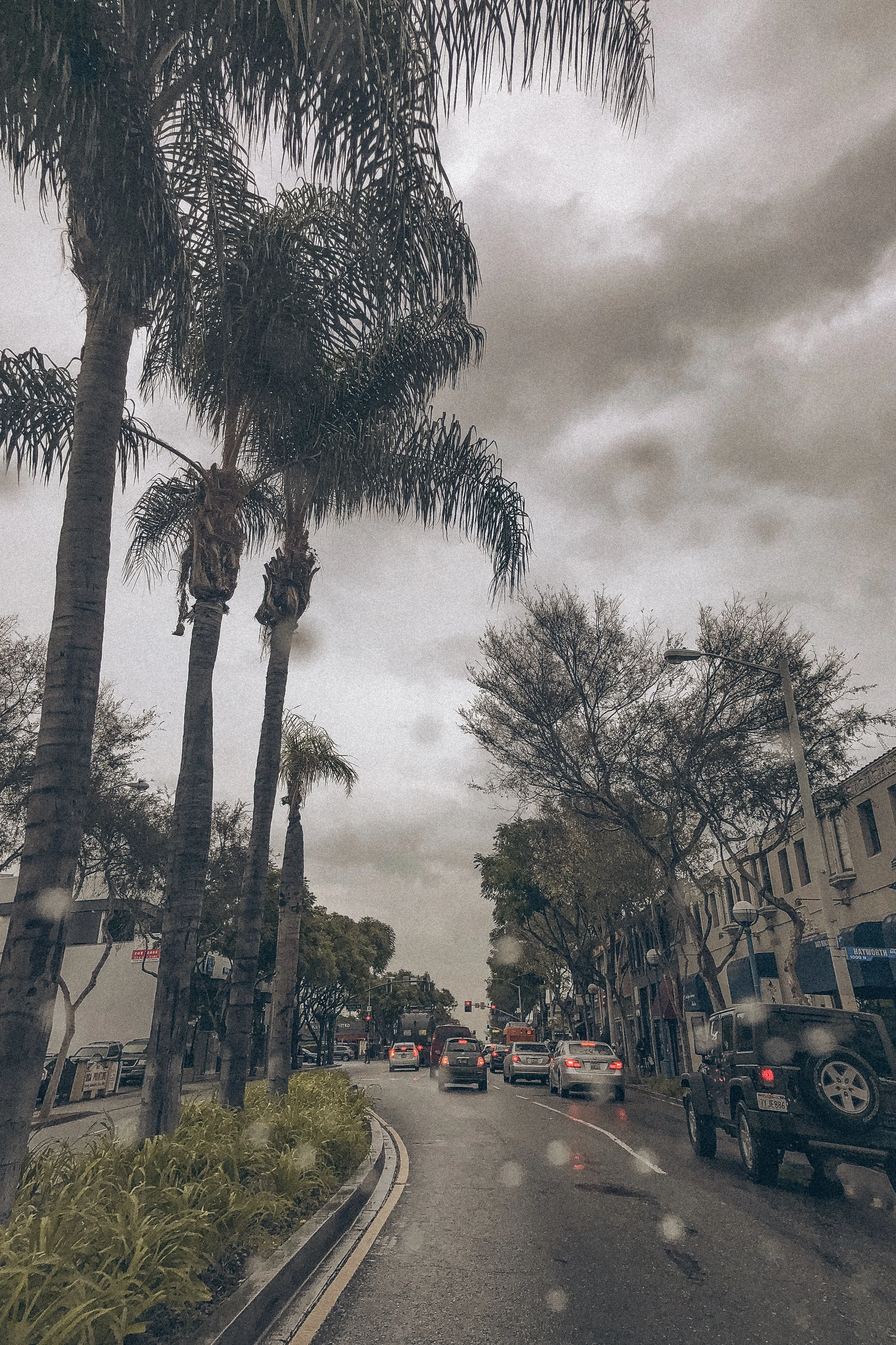 What to do During a Rainy Day in LA
