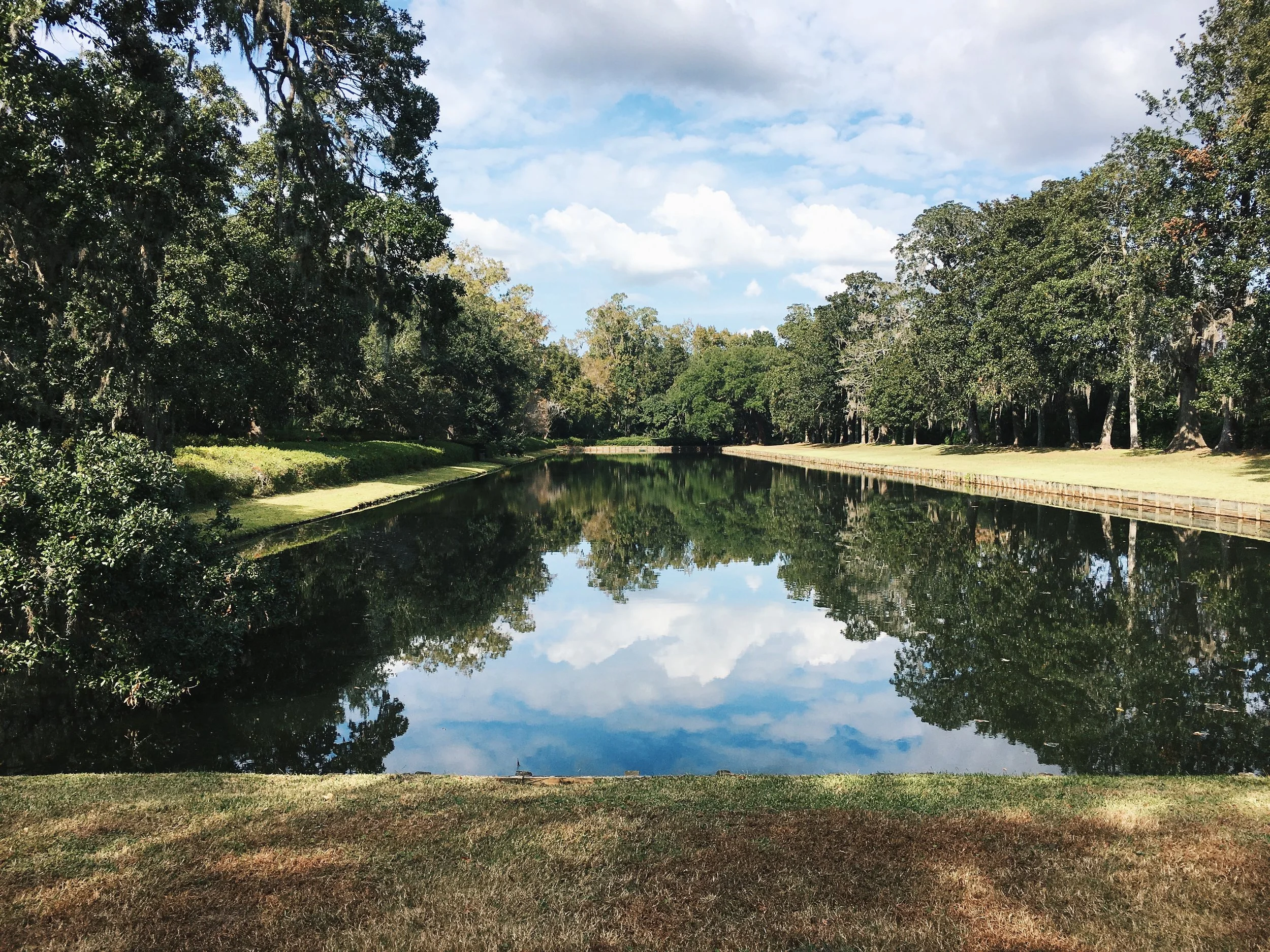 Middleton Plantation Julia Friedman in Charleston, South Carolina