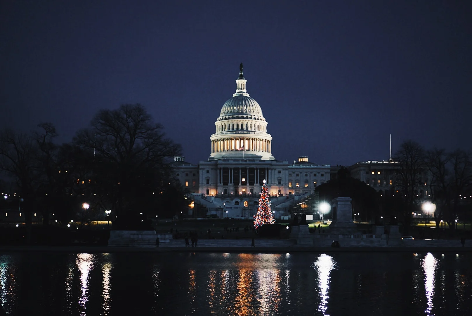 Washington DC Julia Friedman