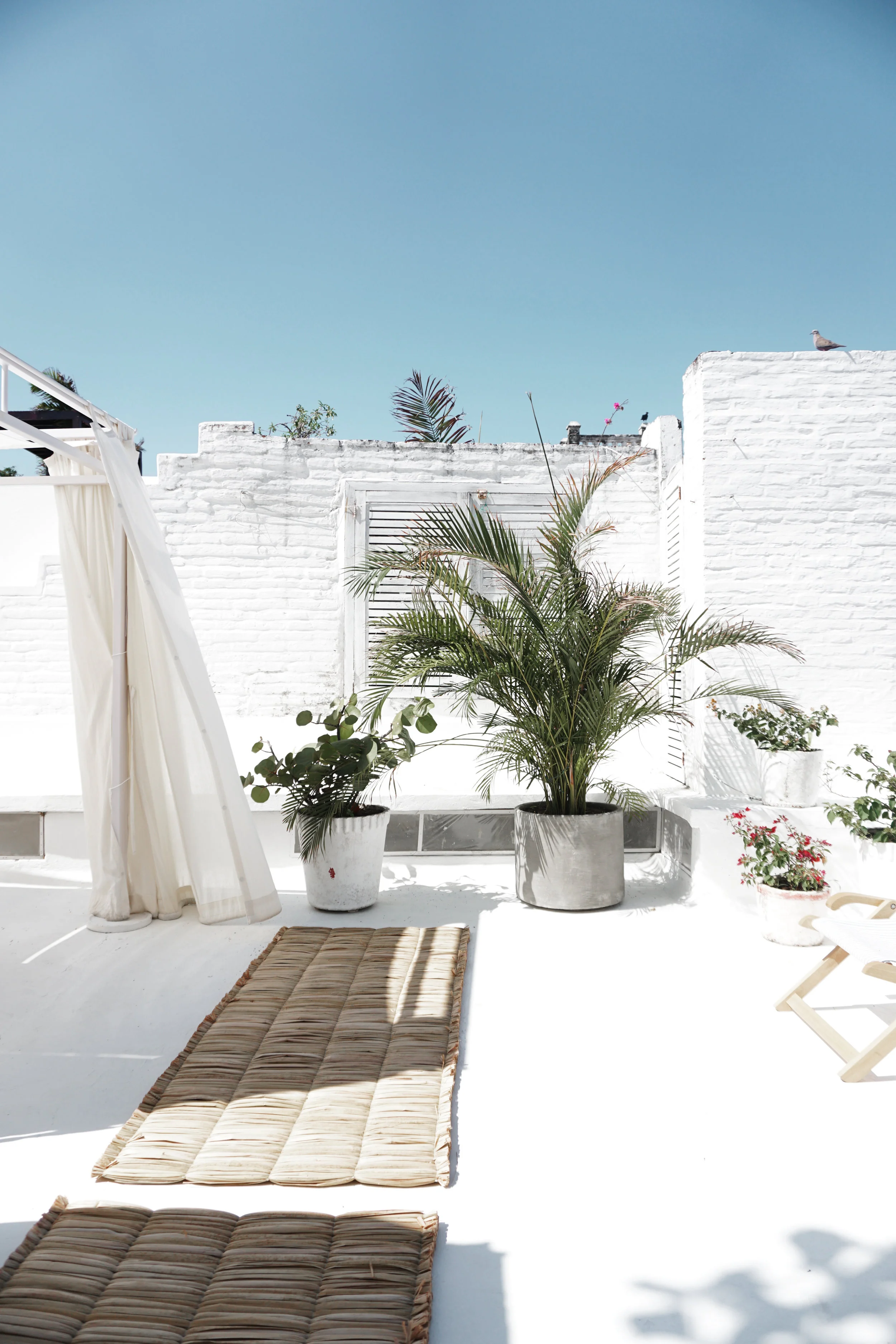Julia Friedman's travel diary to Cartagena, Colombia with Maaji Swimwear.