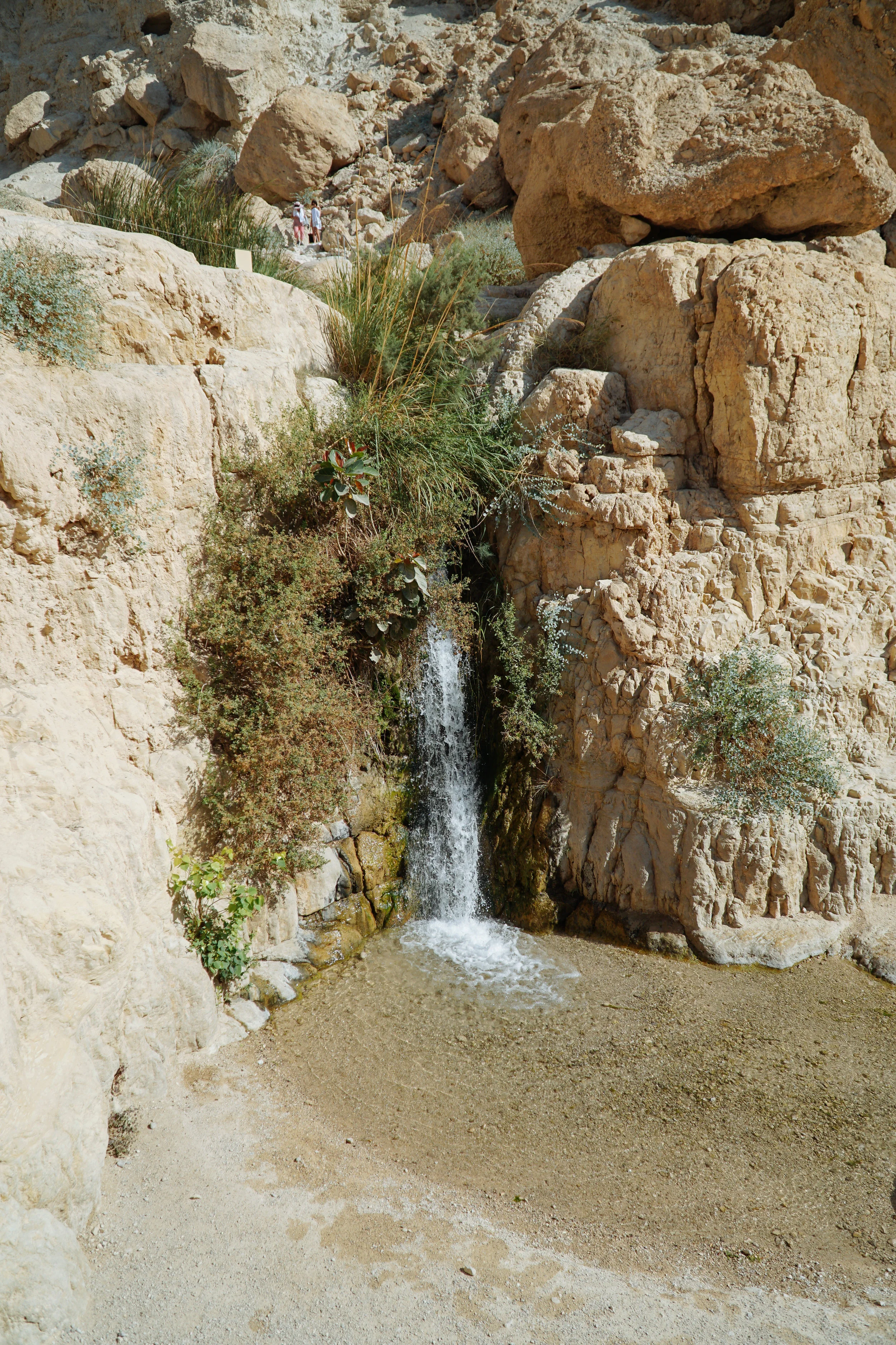 Julia Friedman visits Ein Gedi in Israel Week 2.