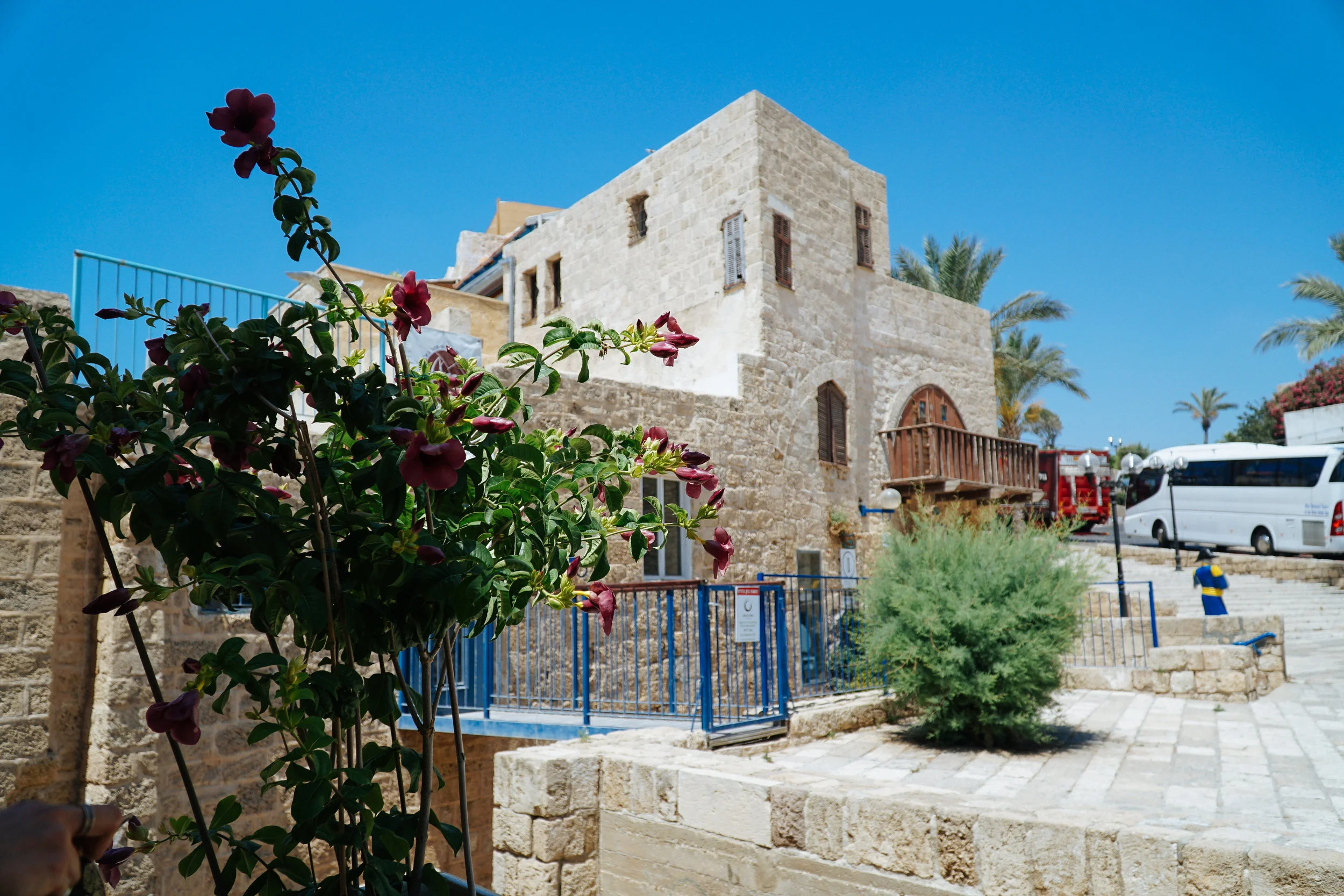 Scenes from the old city of Jaffa in Tel Aviv, Israel by Julia Friedman.