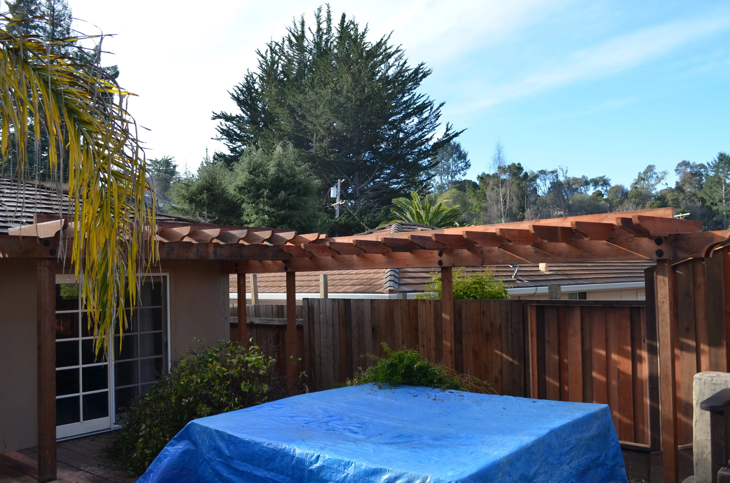 trellis overview.JPG