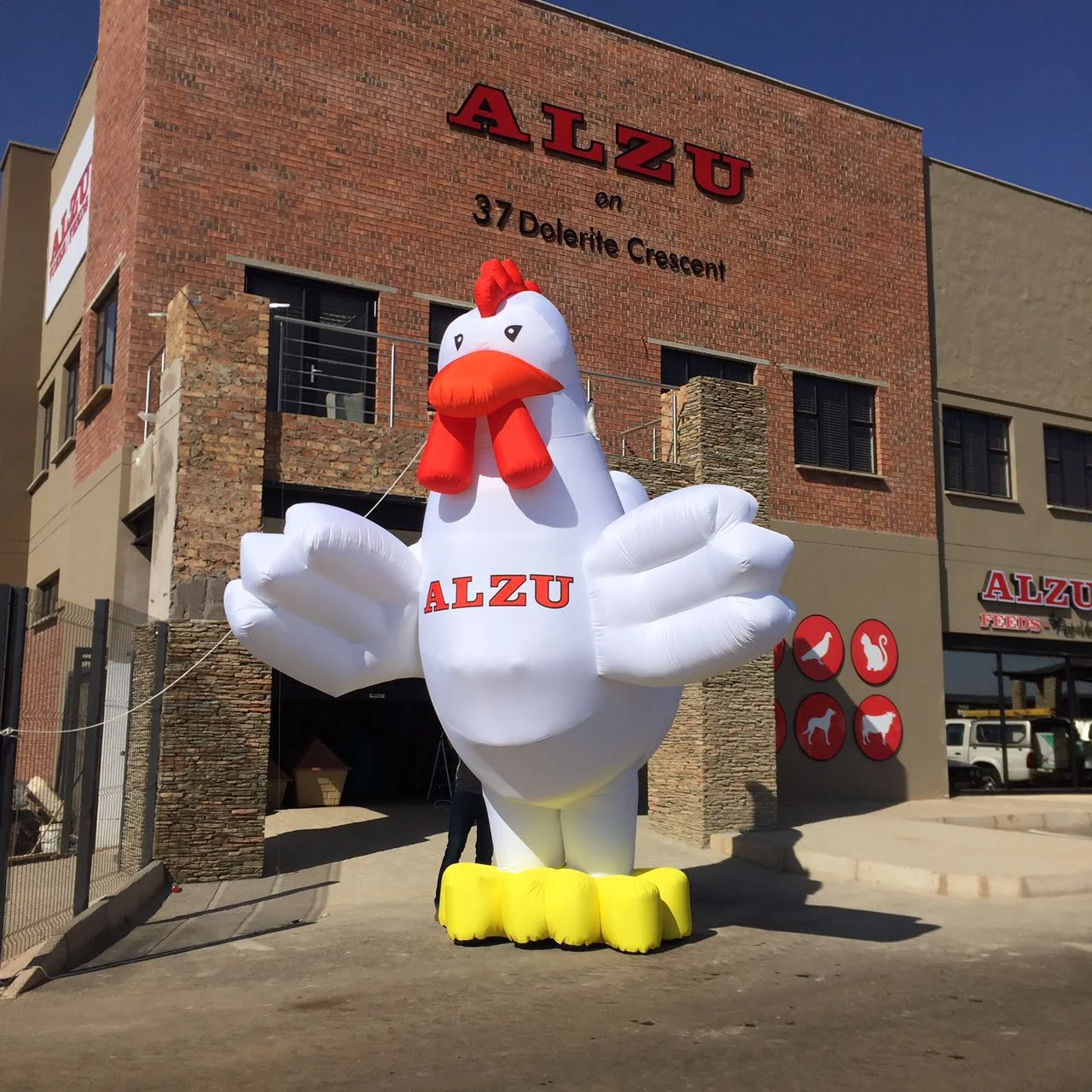 WhatsApp-Image-20160610 (6).jpeg