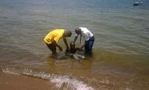 Baptisms in Tanzania, October 2016