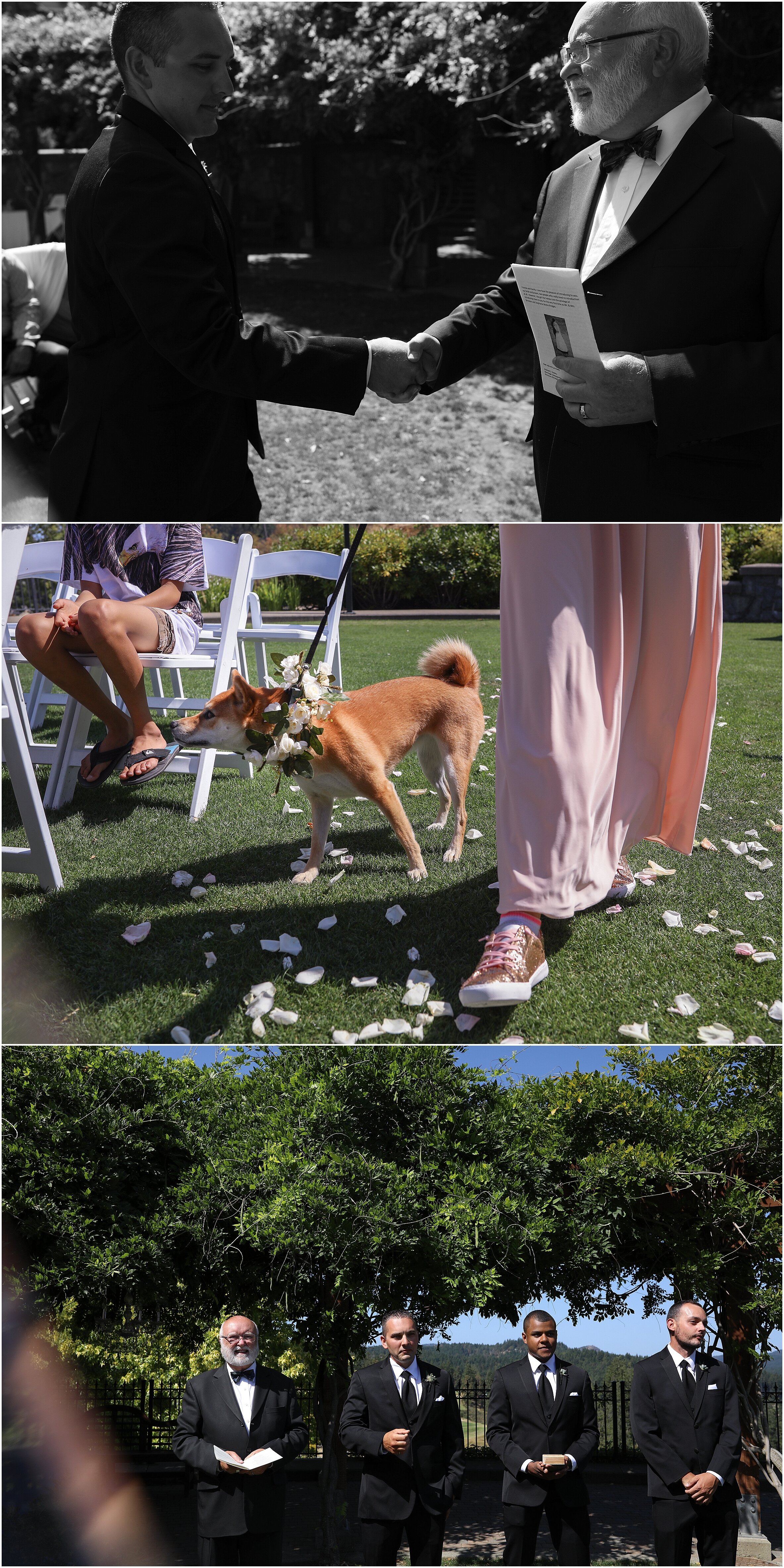 calgary-same-sex-wedding-bowness-calgary_0245.jpg