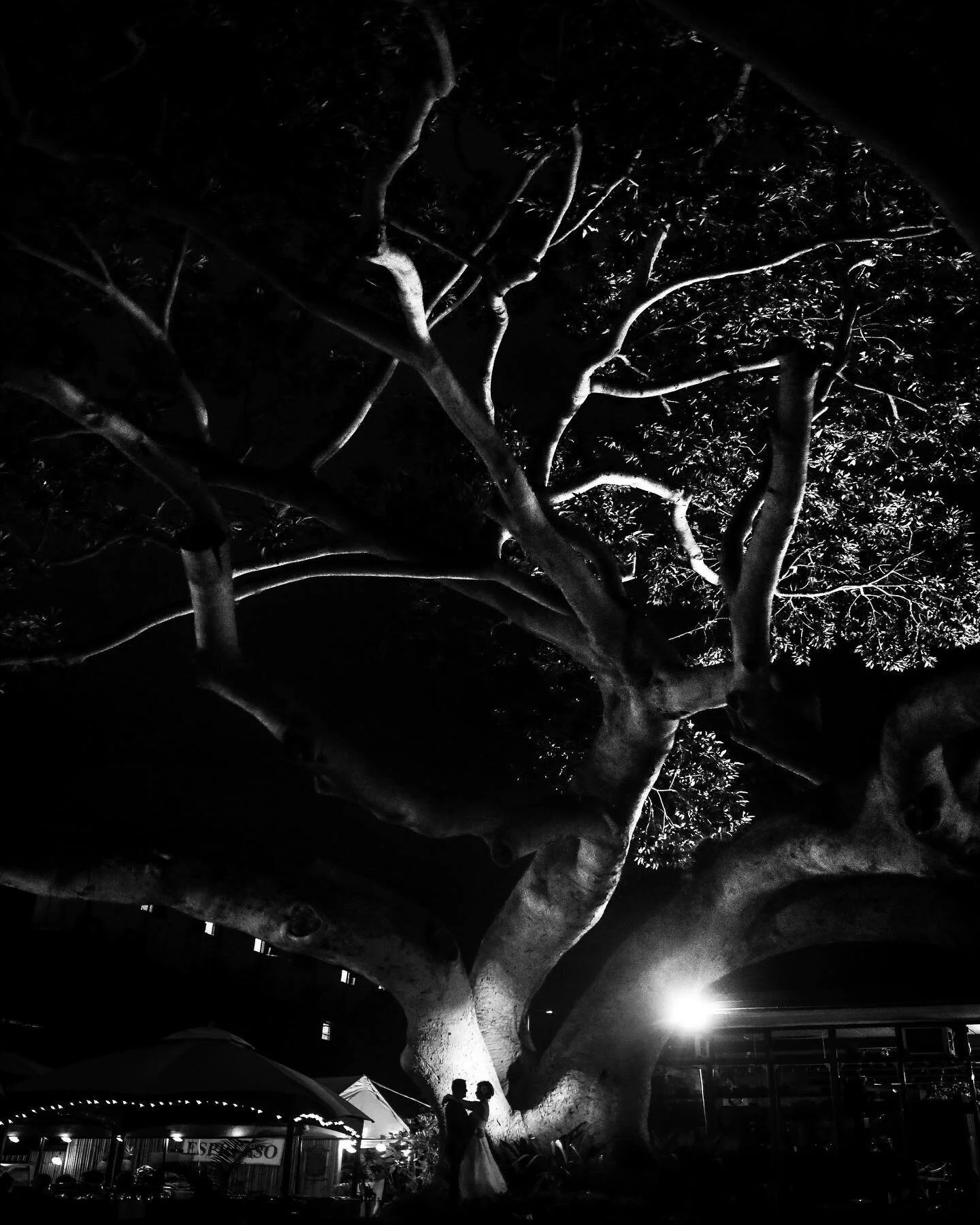 Dats a big tree.
.
.
This 140 (at least) year old Moreton Fig tree on Ali&rsquo;i Drive in downtown Kailua took my breath away when first driving past it. It&rsquo;s so big and just taking over everything around it.
:
:
This was the last stop on Brun