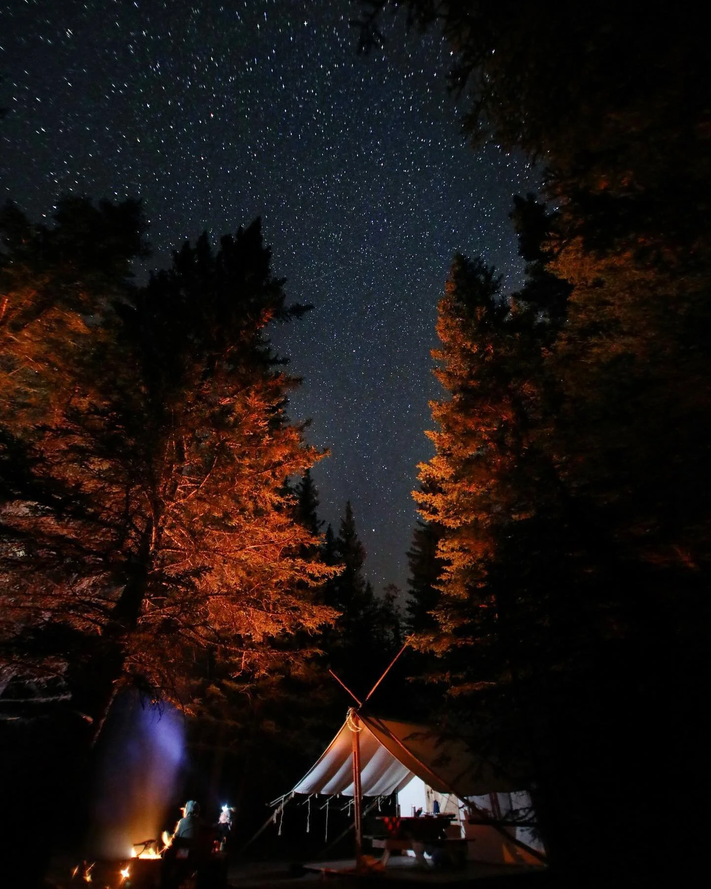 Luck 🌙

There is a lot that goes into getting a great star shot. Timing and a bit of luck are at the top of that list, patience as well. Understanding your camera settings, flash settings, post production skills a tripod and a wide lens too.

Hmmm..