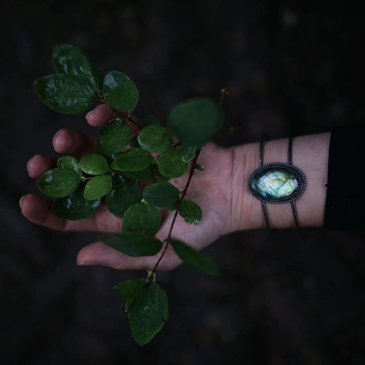 Thank you for the opportunity to work with your stunning peices @gaiascandy 

This line of Jewellry was shipped to me all the way from Germany. I worked with the pieces in 4 different photoshoots including one that ended up in a national magazine. Th