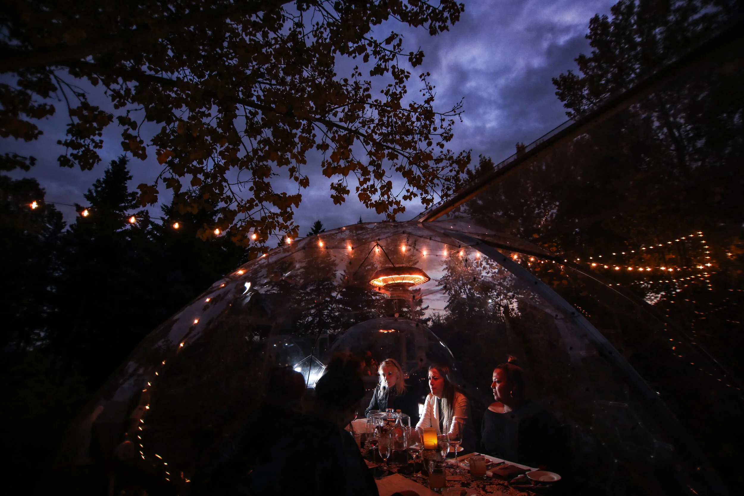 Foodies in the Park | Calgary Commercial &amp; Social Media Content Photography