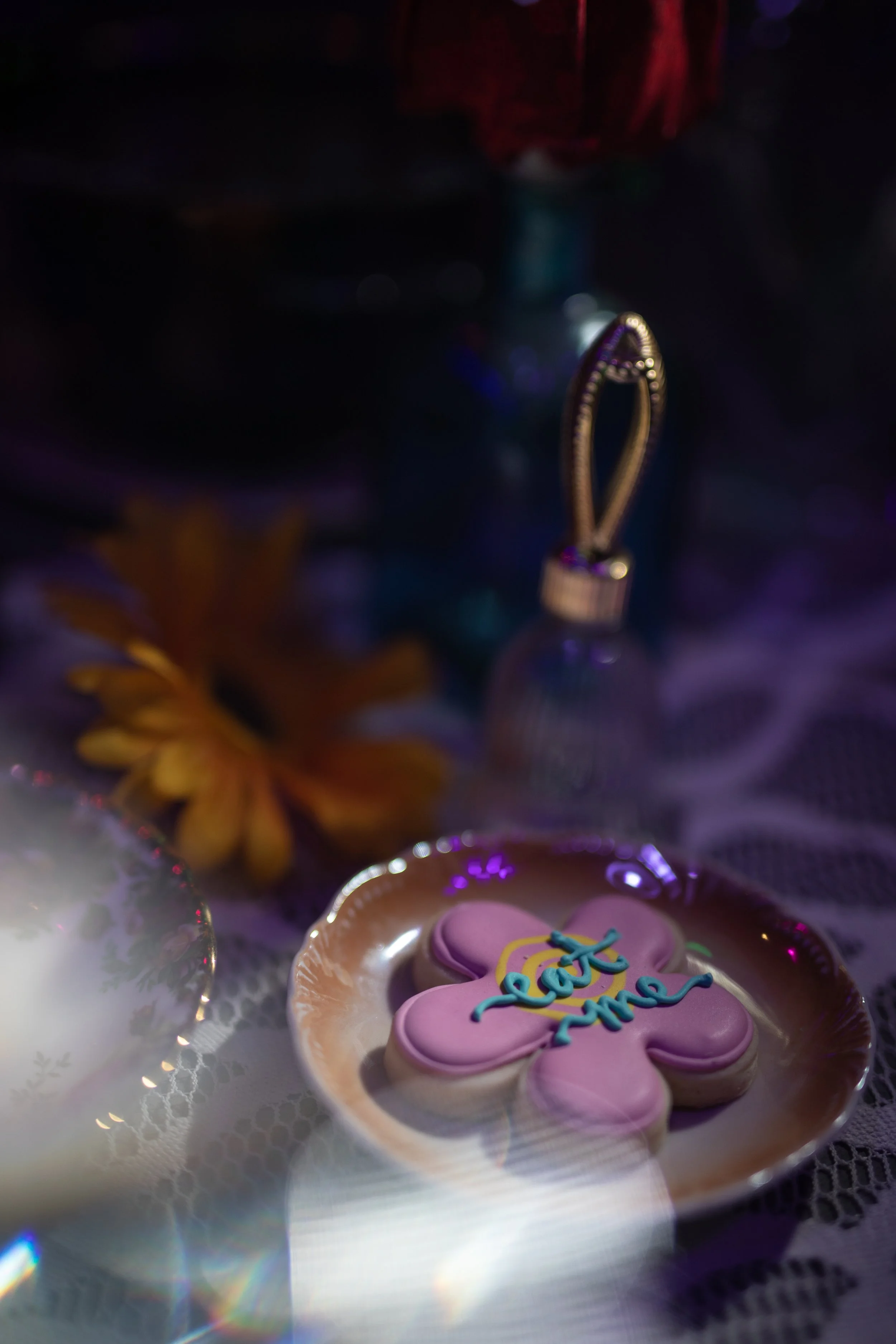 Sofia Katherine Photography Alice in Wonderland 2022 Calgary (9).jpg