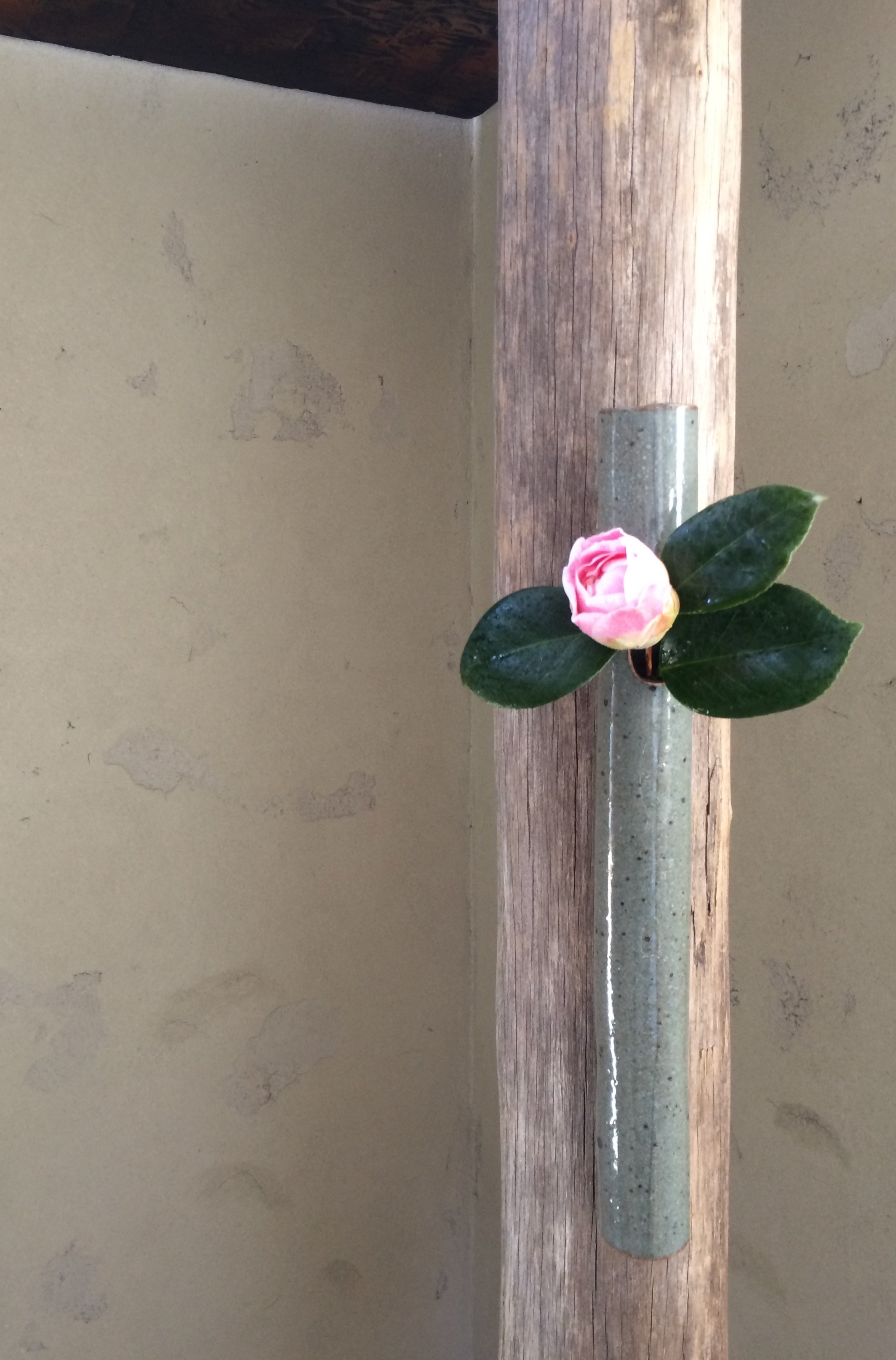 2020-07-05 12.14.51.jpeg