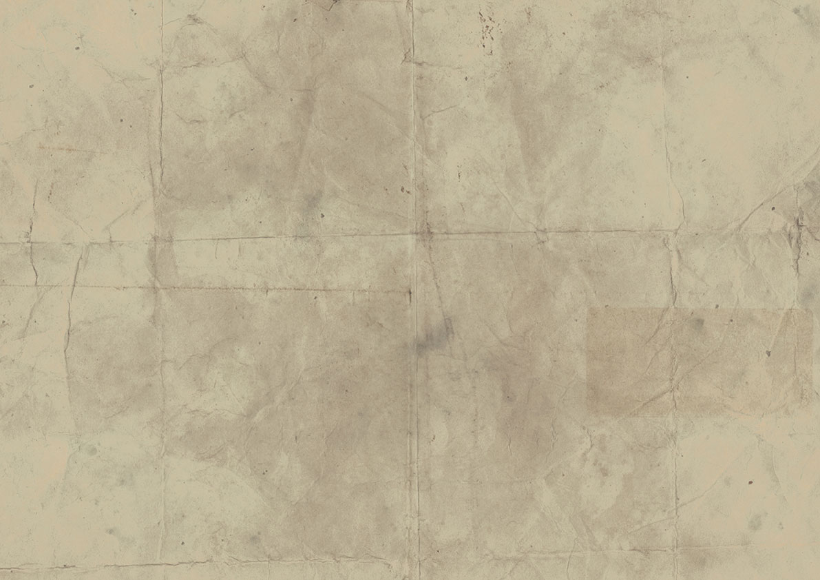DVC_Texture_White-Distress_10.08.18.jpg