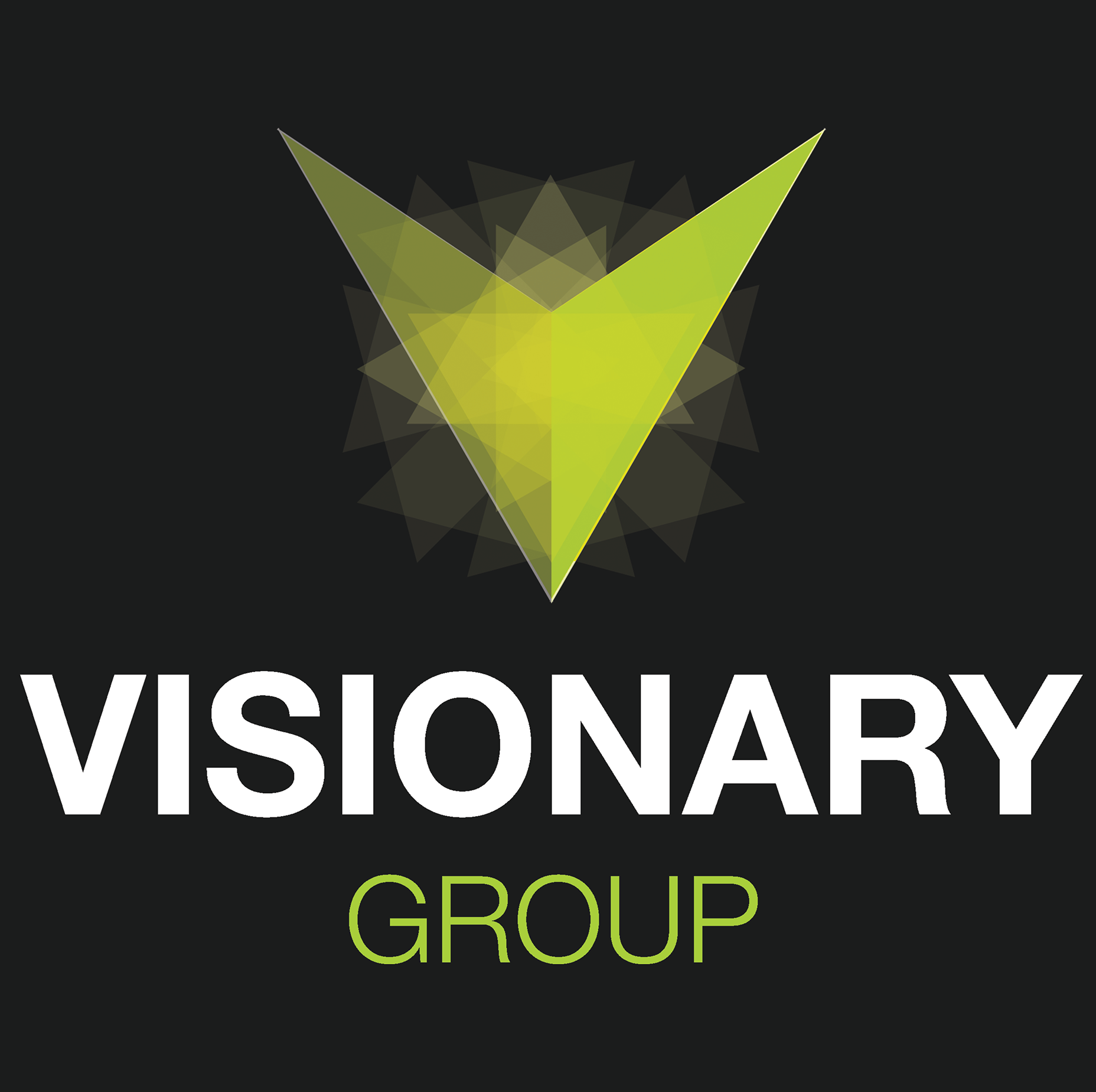 Visionary Group - Accelerating Business Growth