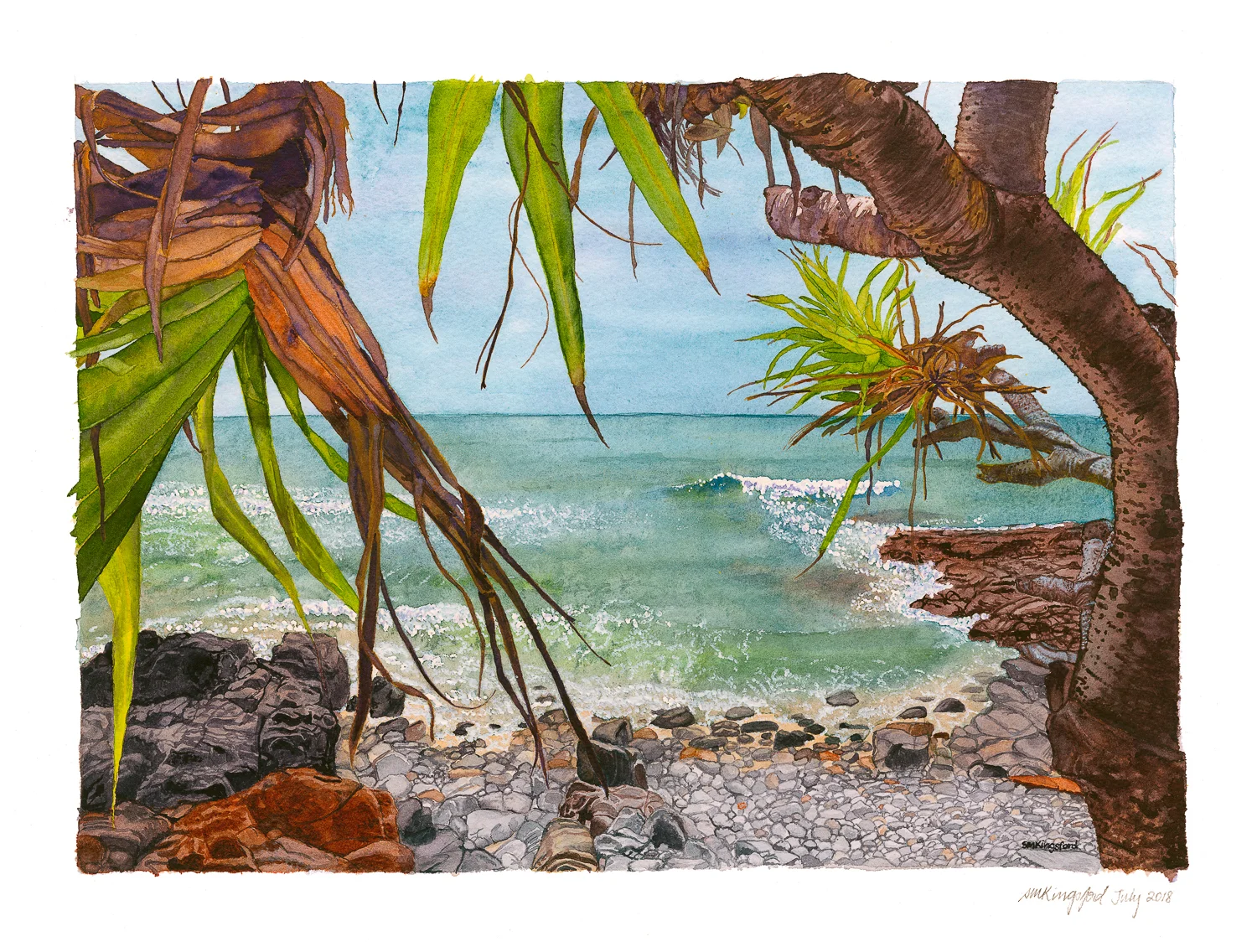 Pandanus View  print