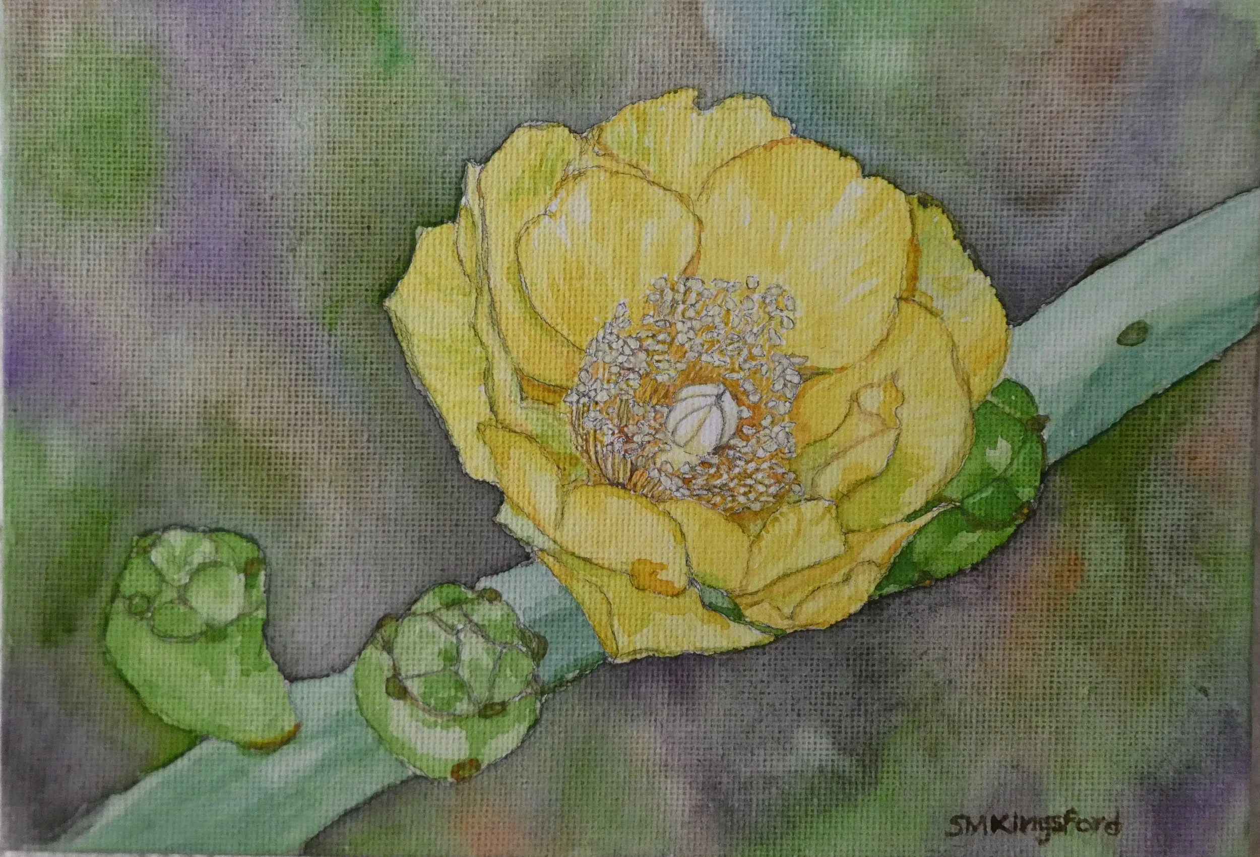 Prickly Pear Blossom