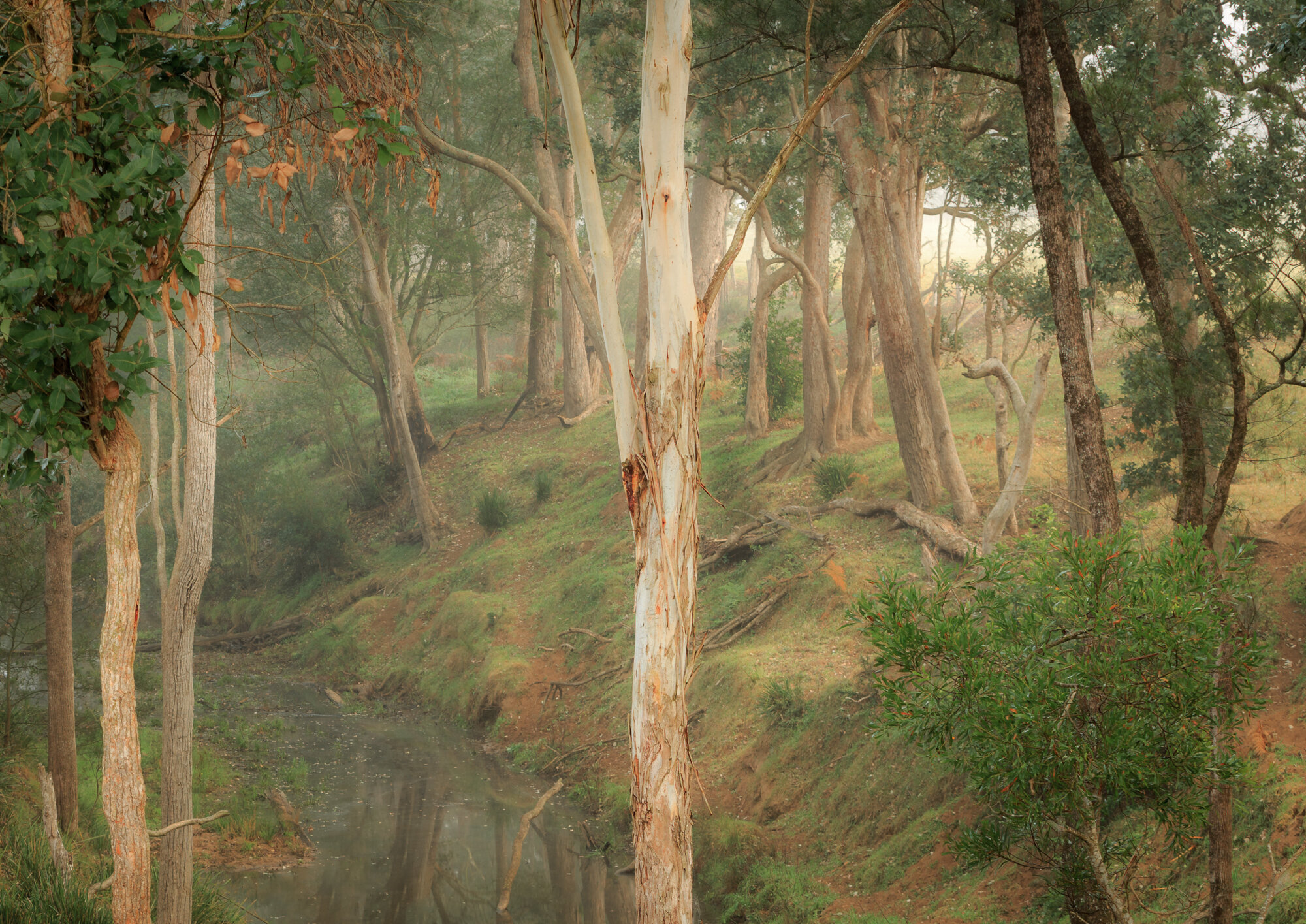 Beside Still Waters