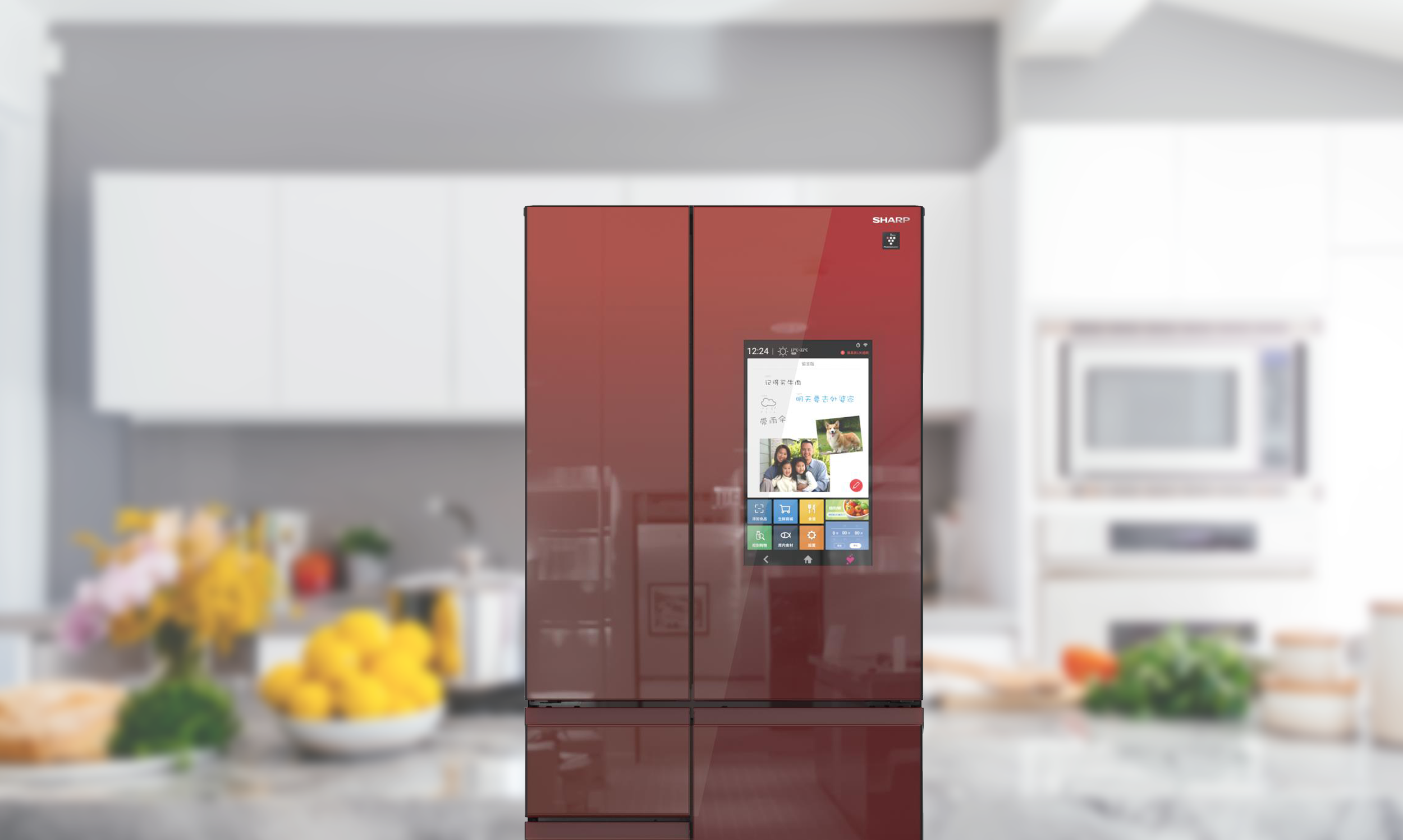 fridge cover.png