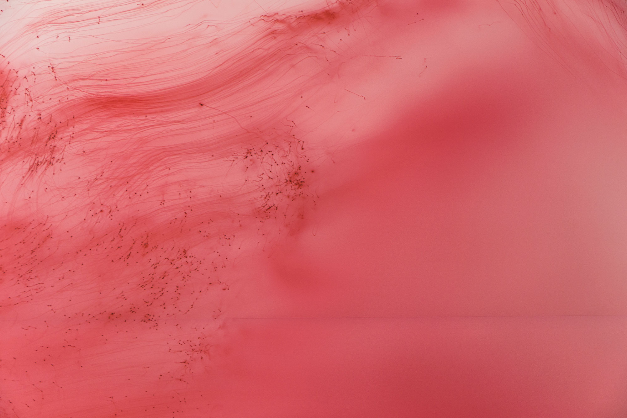 Detail of work, Rebuilding the Future, 2018, IMMA.