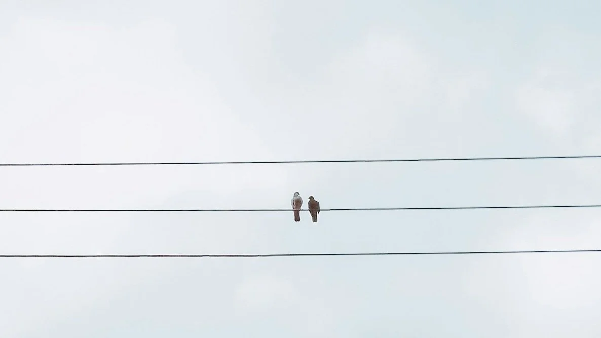 unsplash-image-4FT_kiSHSXE.jpg
