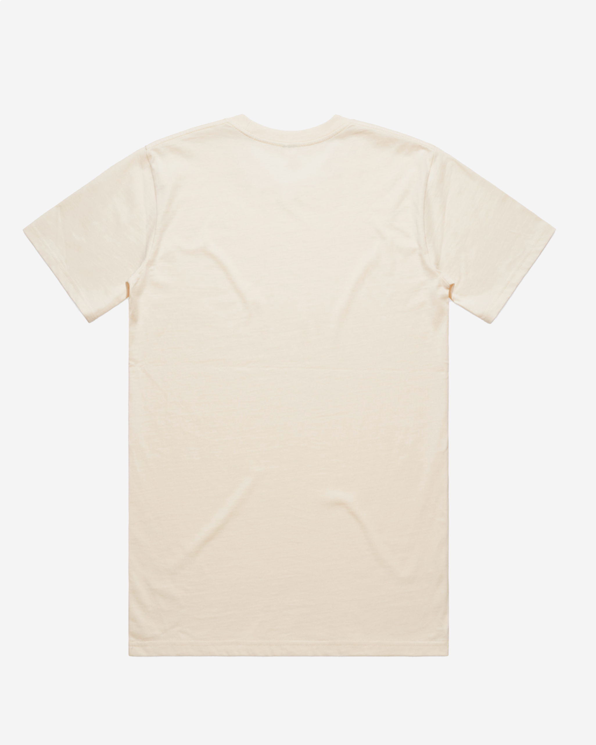 Blurred Logo Tee Back.png