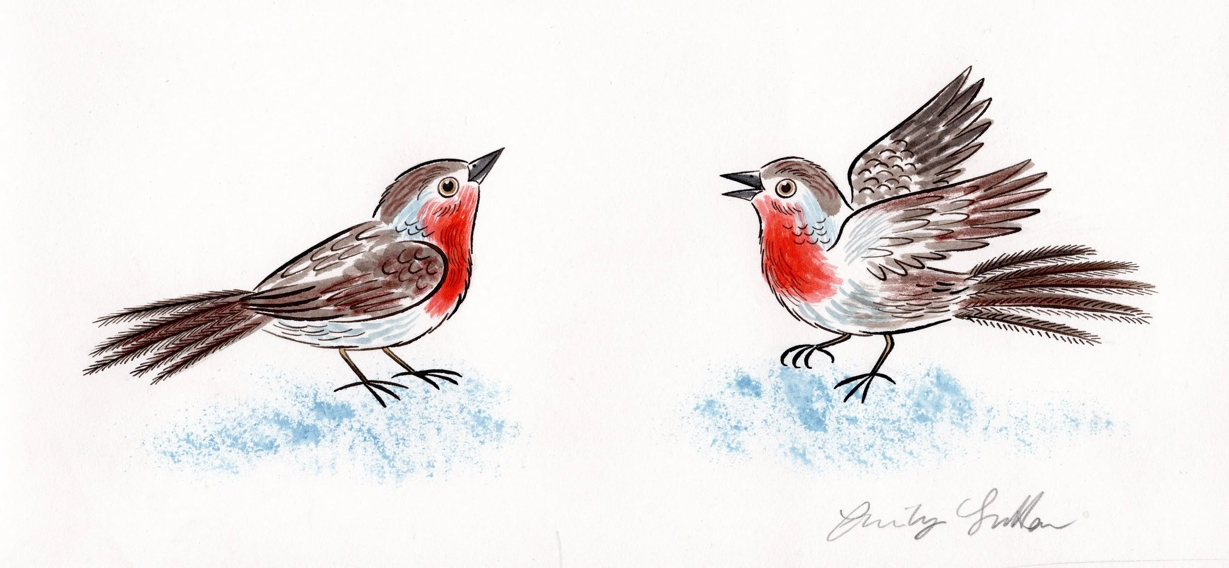 Robins chatting