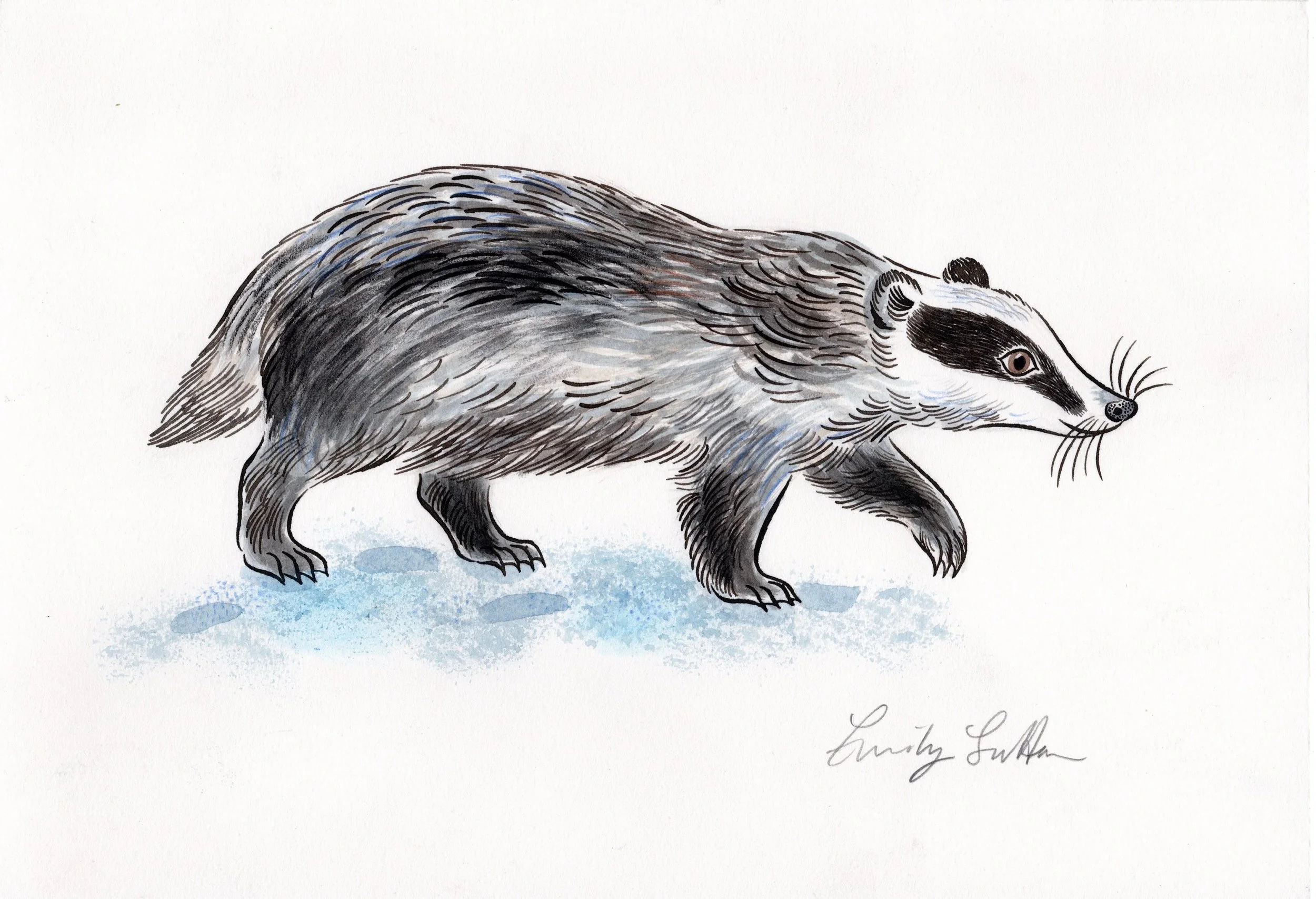 Badger 3
