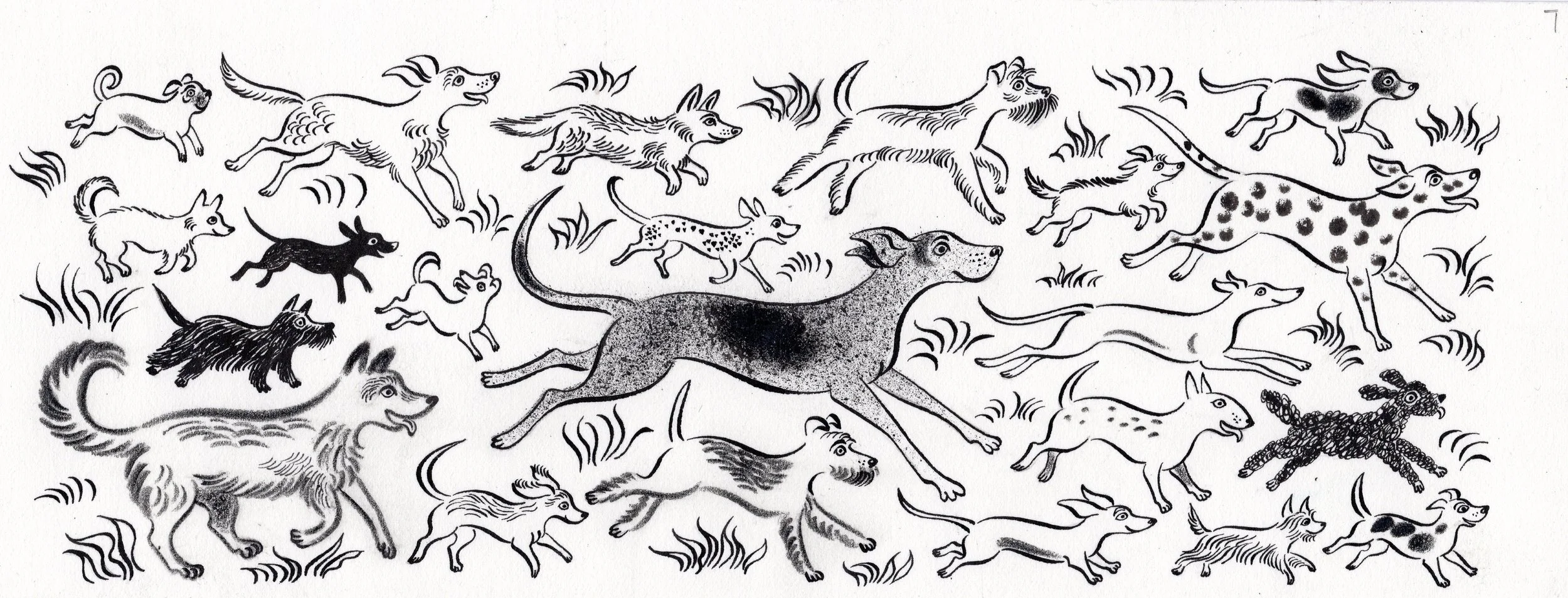 Running with the pack