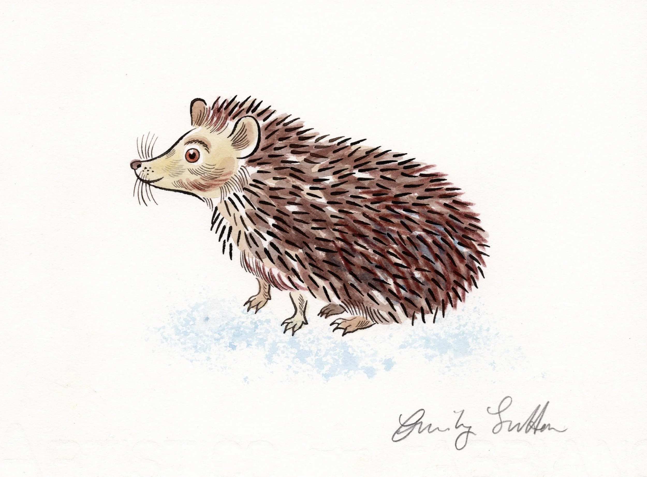 Hedgehog 2