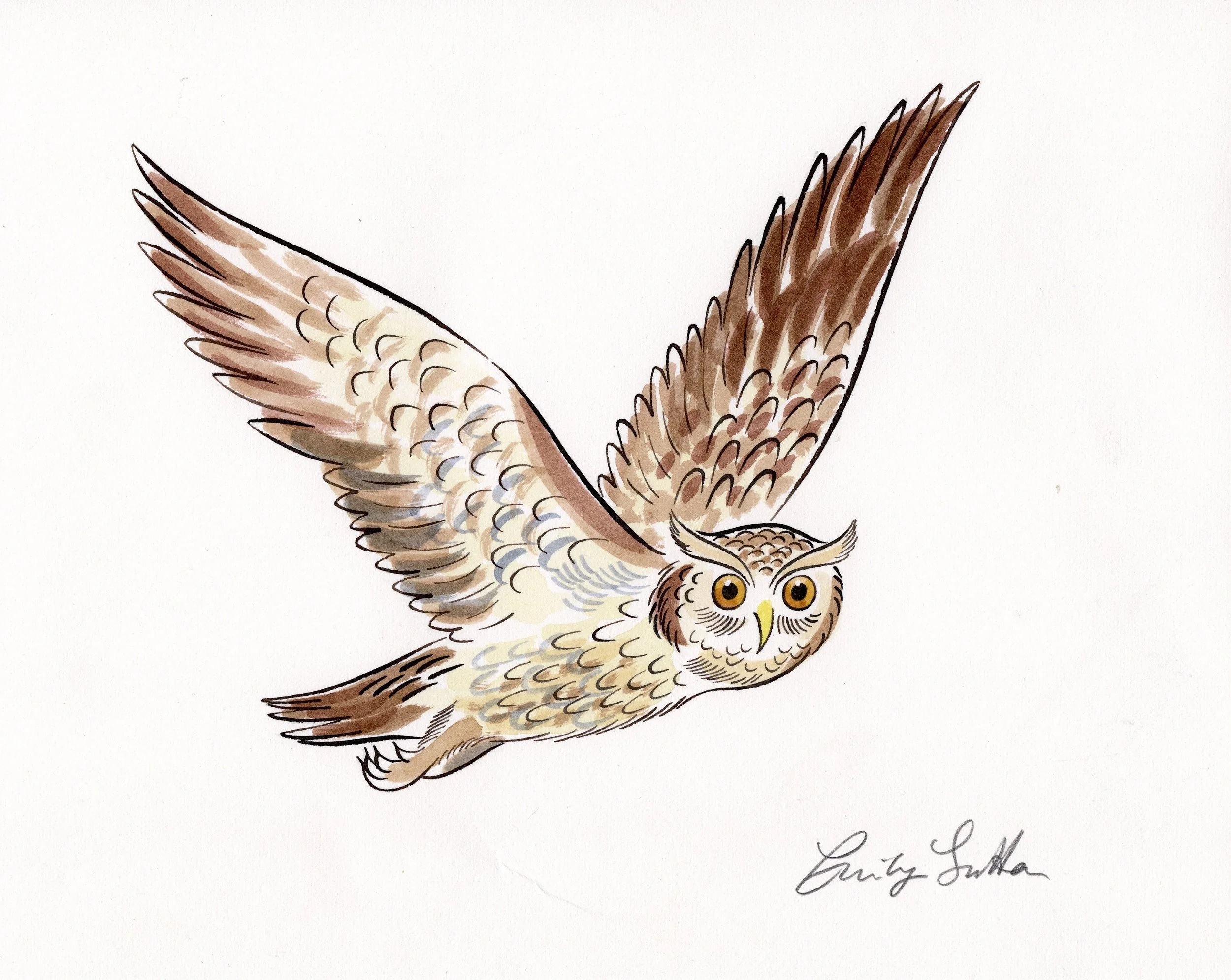 Flying Owl 1