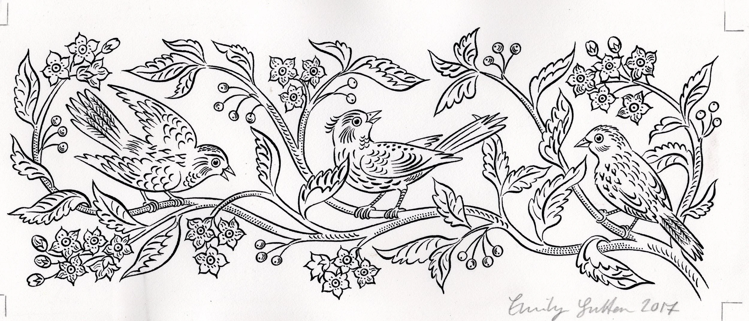 Three birds on a branch