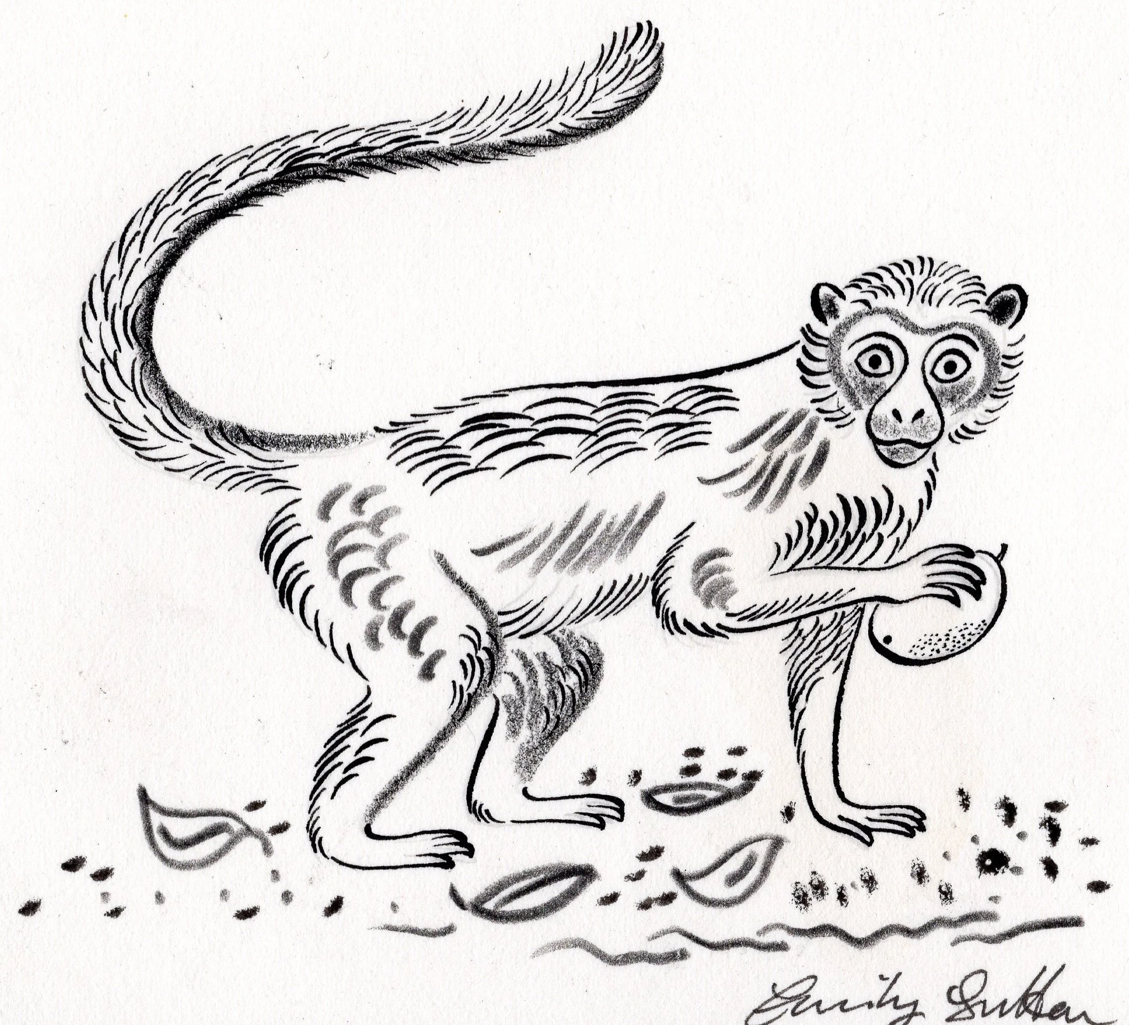 Cheeky Monkey