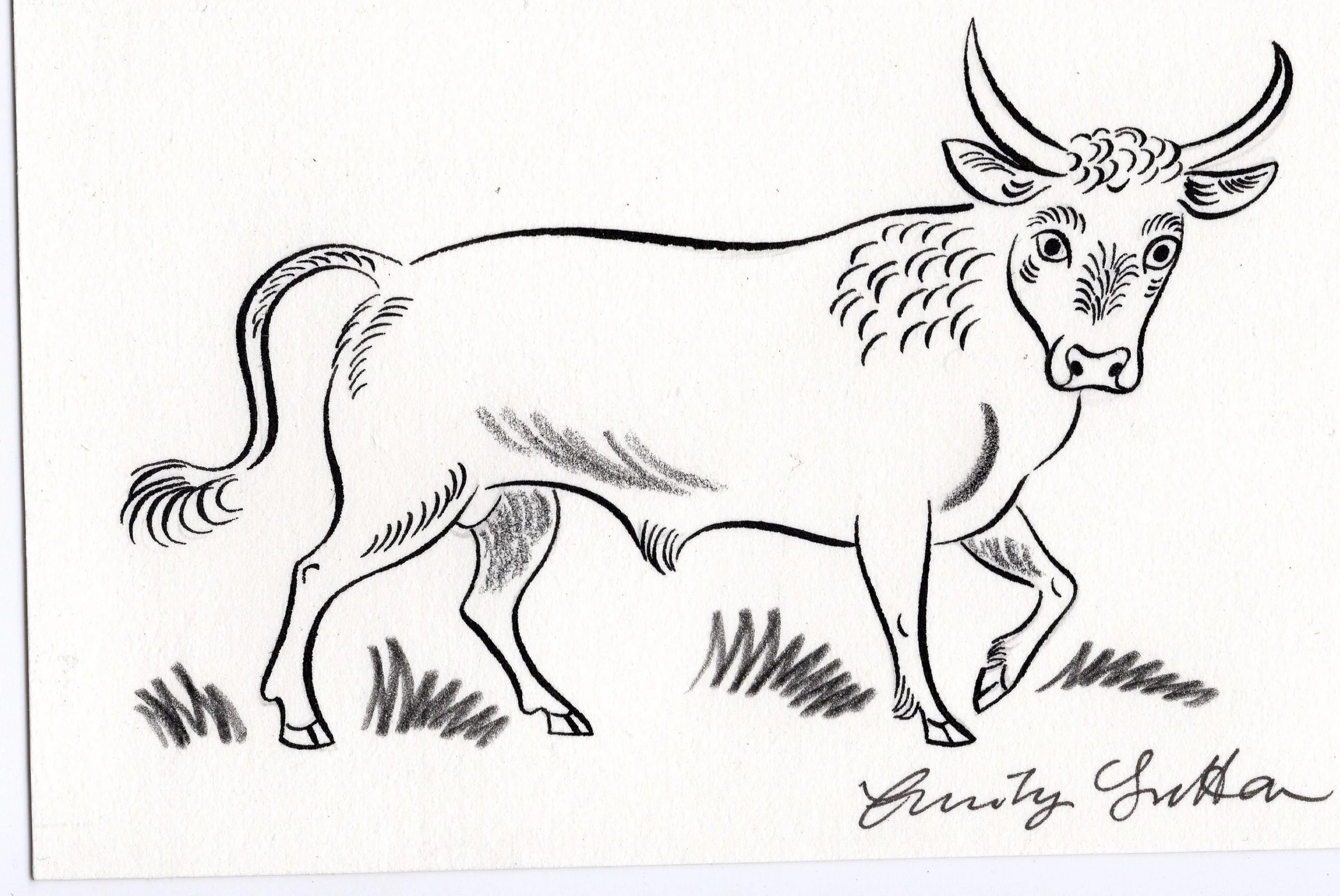 Bull