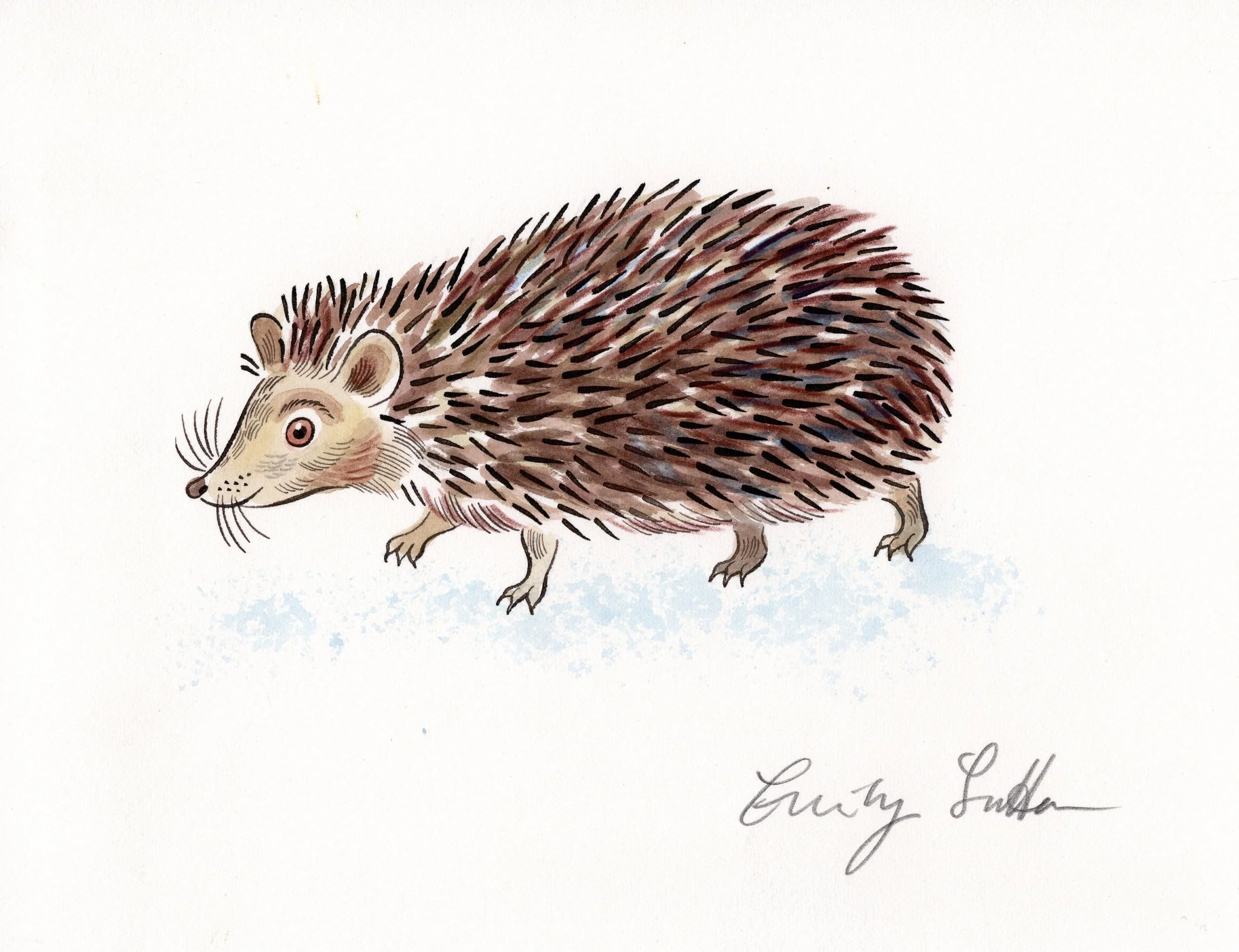 Hedgehog 3