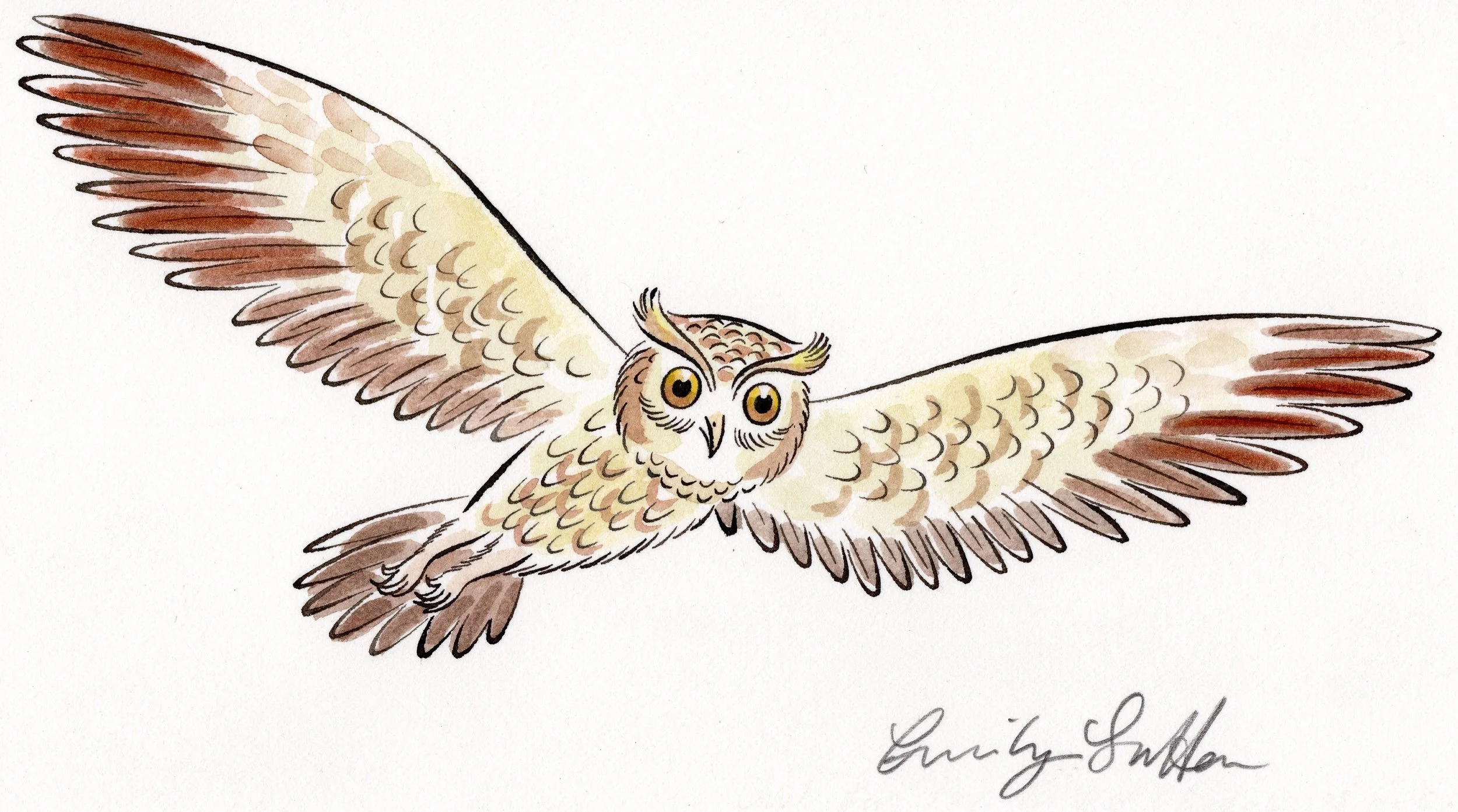 Flying Owl 2