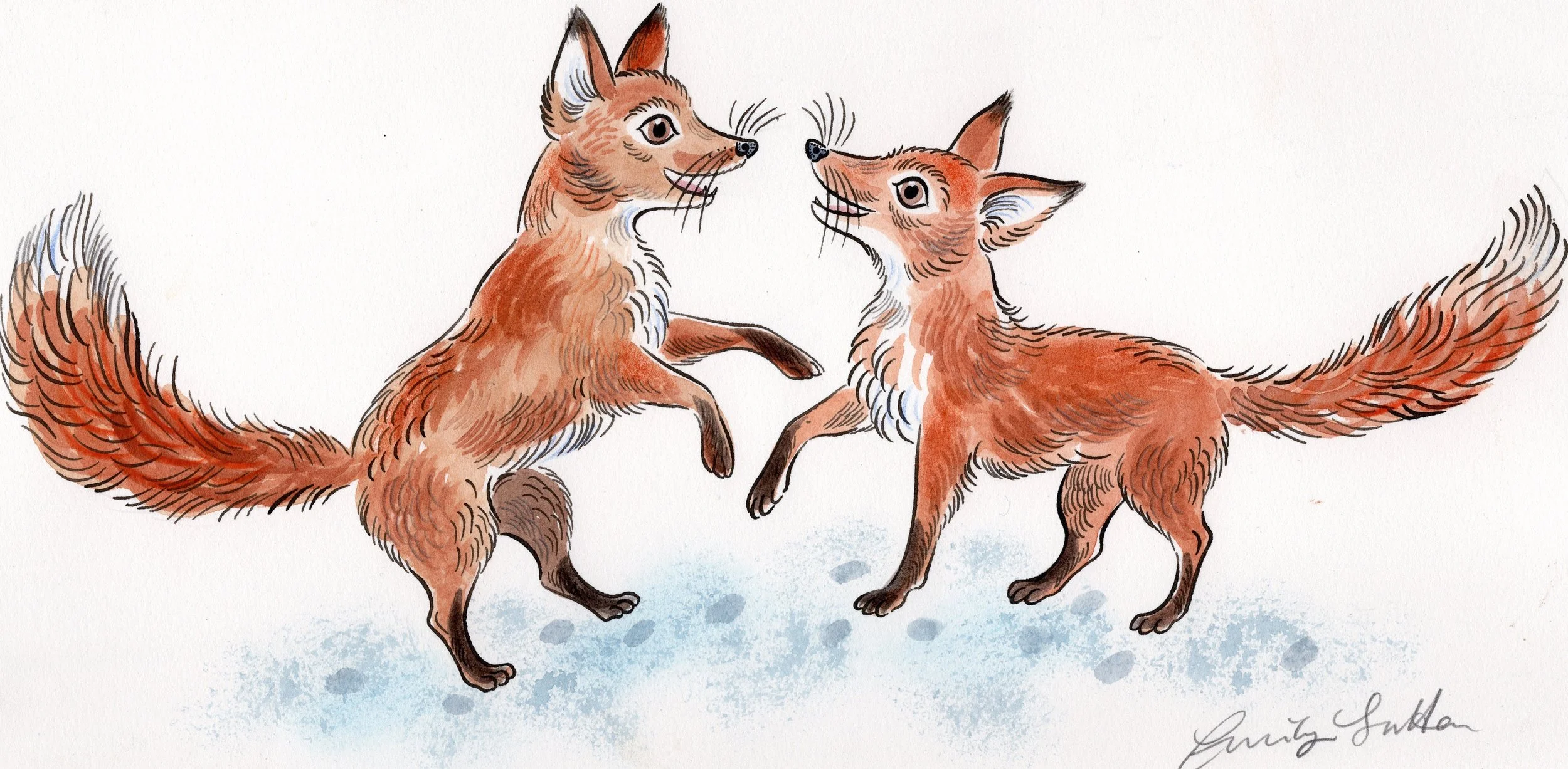 Pair of foxes