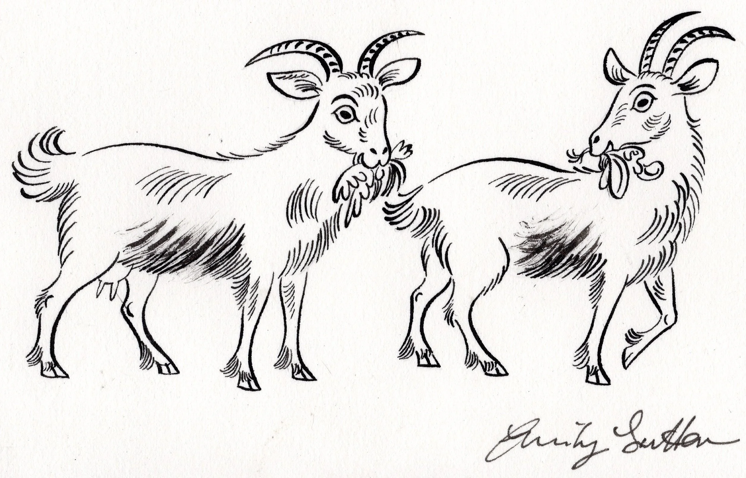 Hungry goats